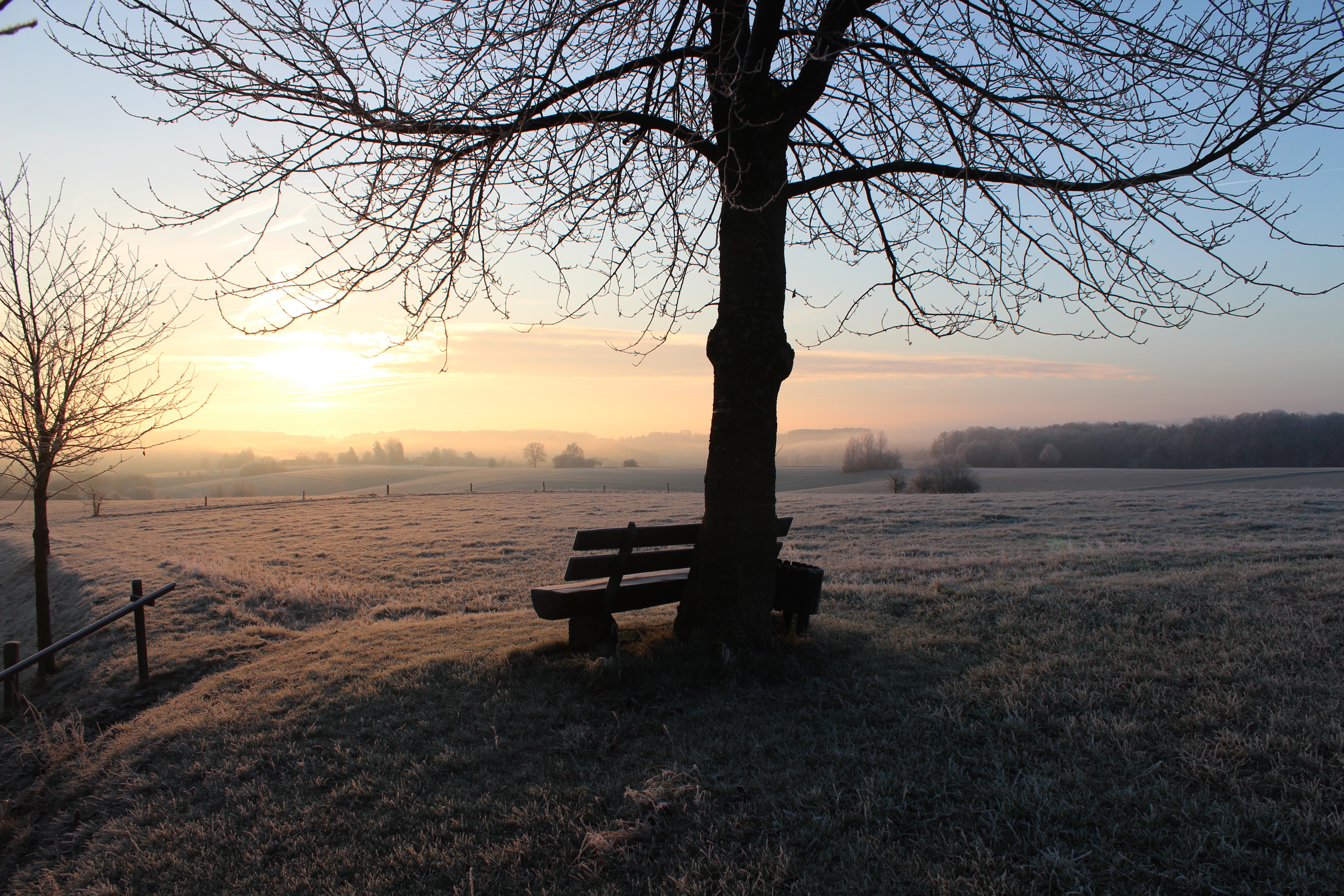 silence, hoarfrost, winter, nature, dawn, privacy, seclusion, frost, bench Full HD