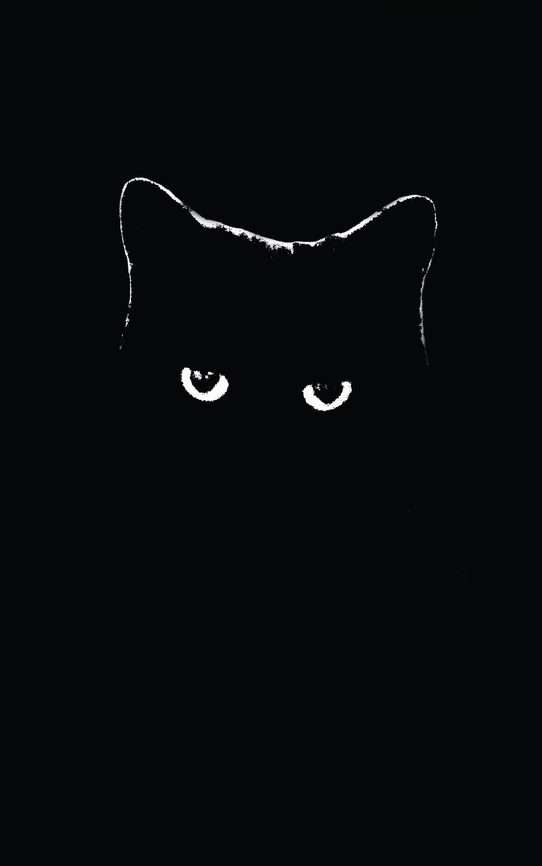 Скачать картинку Животные, Черный, Кошка, Чёрный, Кошки в телефон бесплатно.