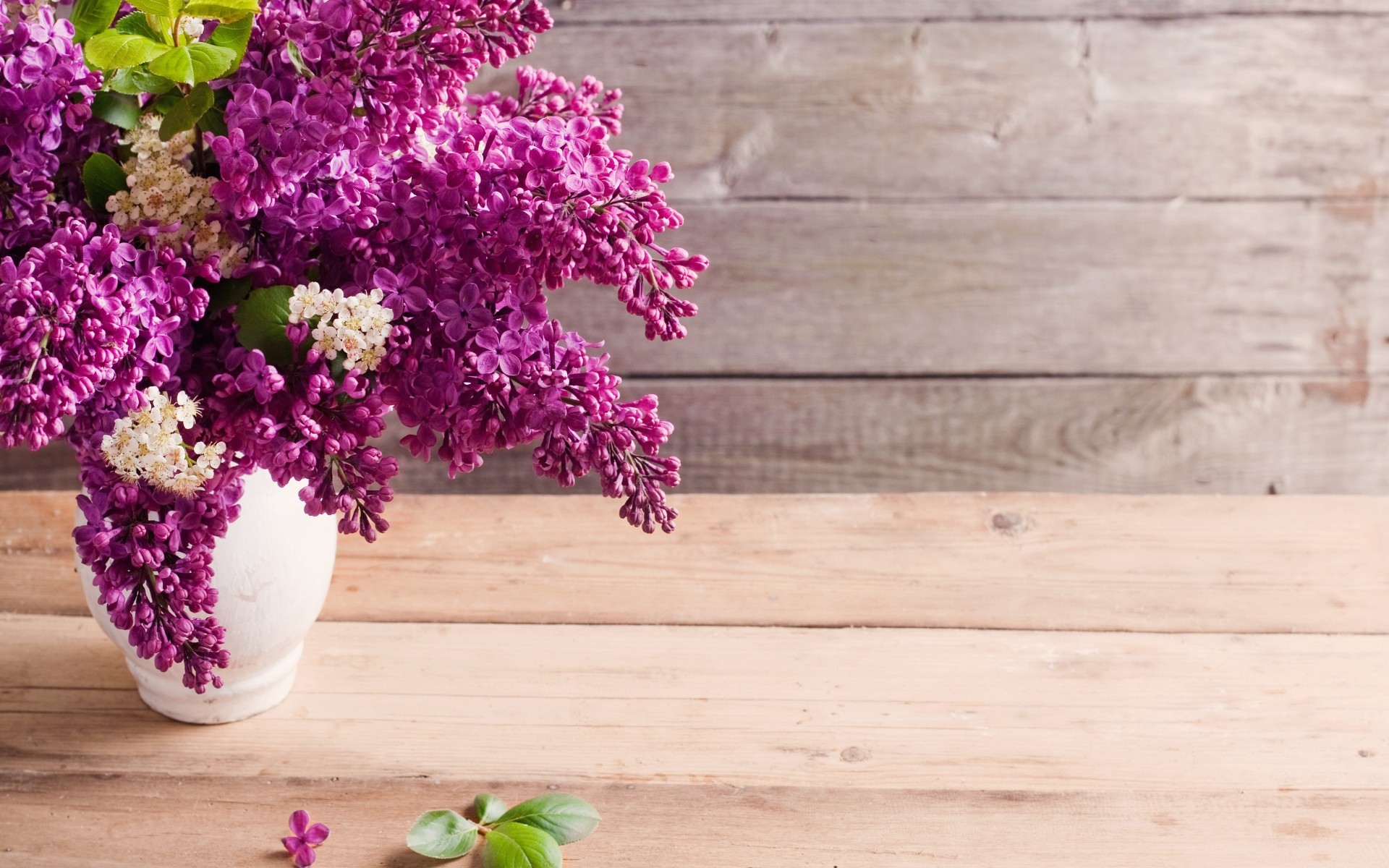 Free download wallpaper Flowers, Objects, Plants on your PC desktop