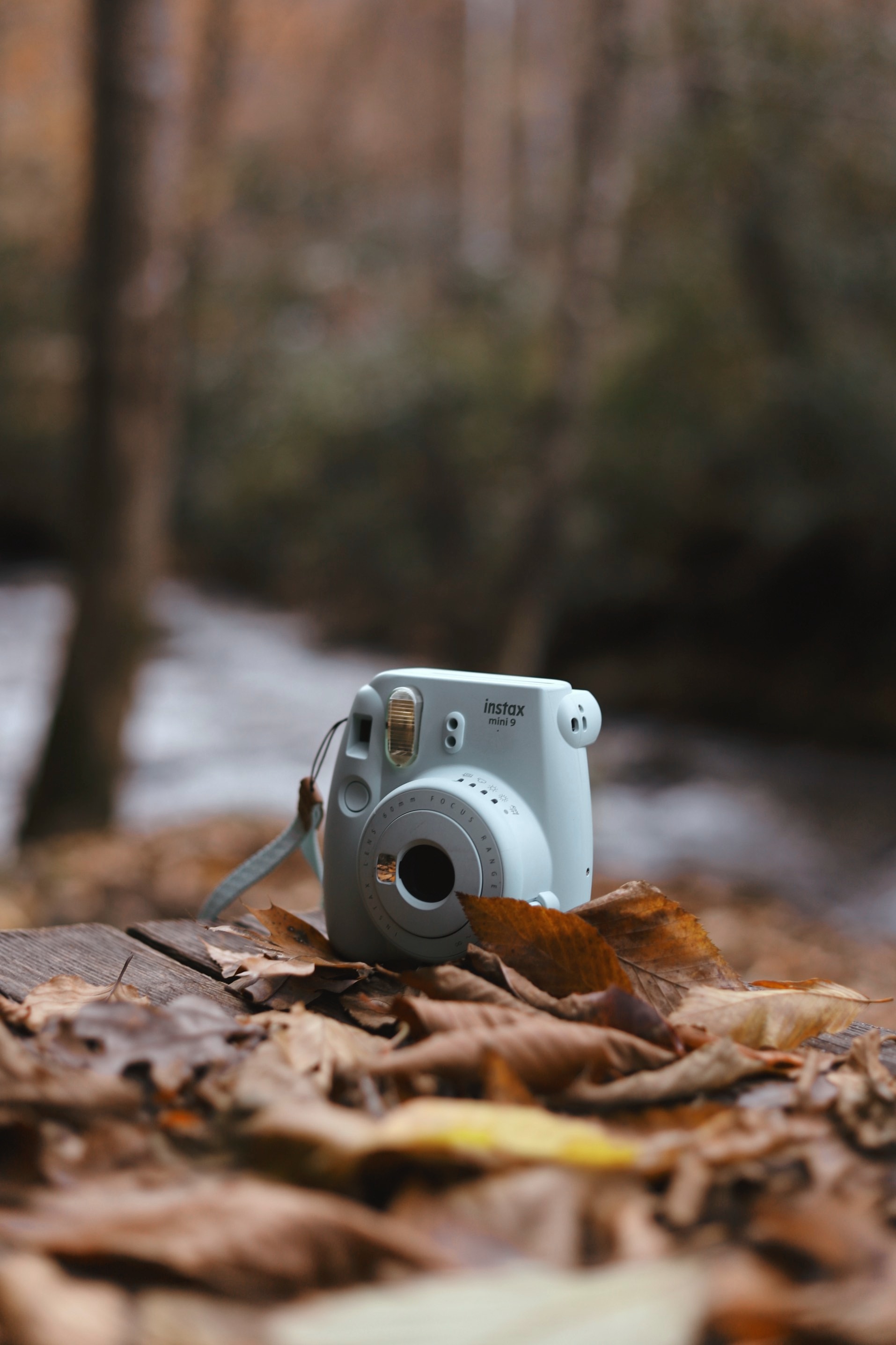 camera, autumn, foliage, technologies, technology 4K Ultra