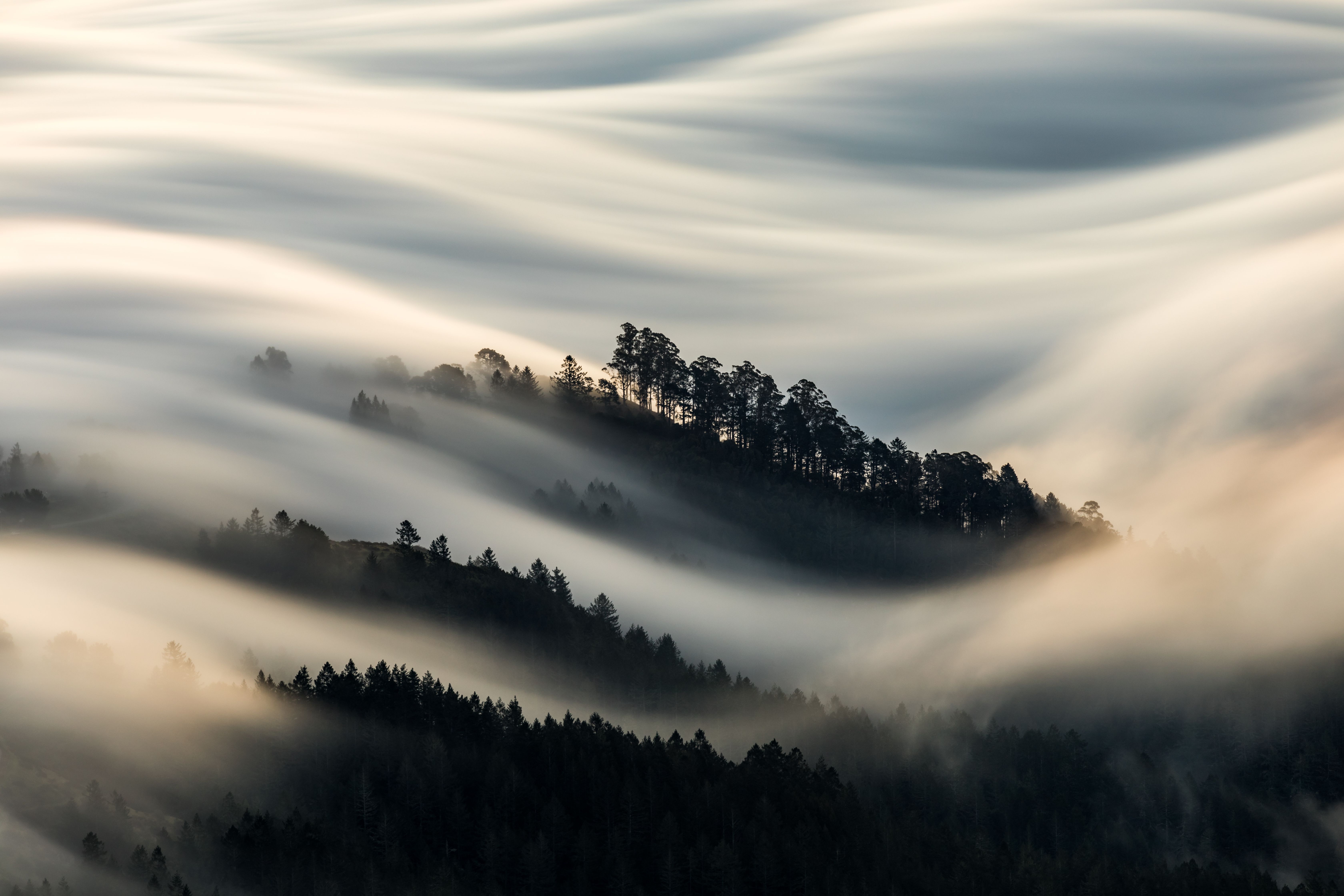 Laden Sie das Landschaft, Natur, Nebel, Erde/natur-Bild kostenlos auf Ihren PC-Desktop herunter