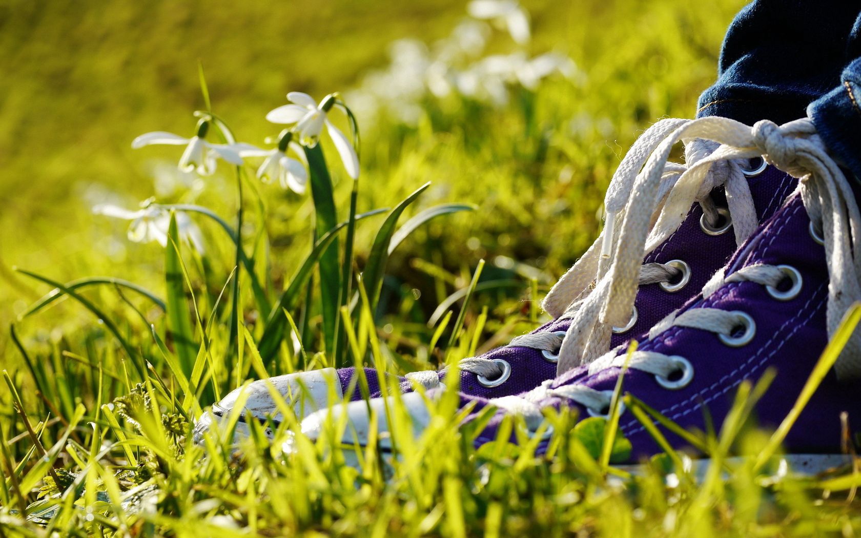 flowers, grass, miscellanea, miscellaneous, legs, sneakers, shoes HD for desktop 1080p