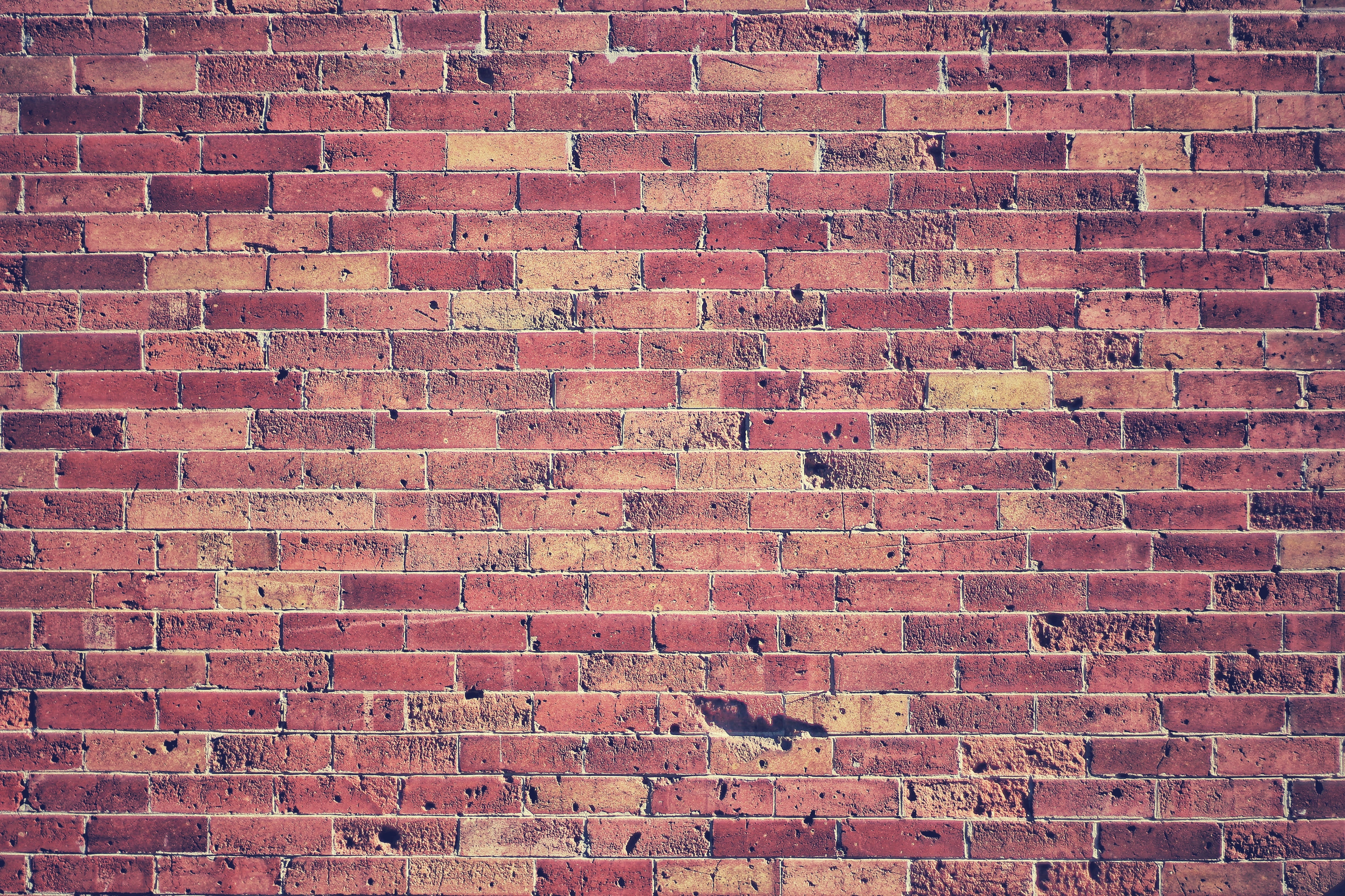 textures, bricks, red, texture, wall, brick wall