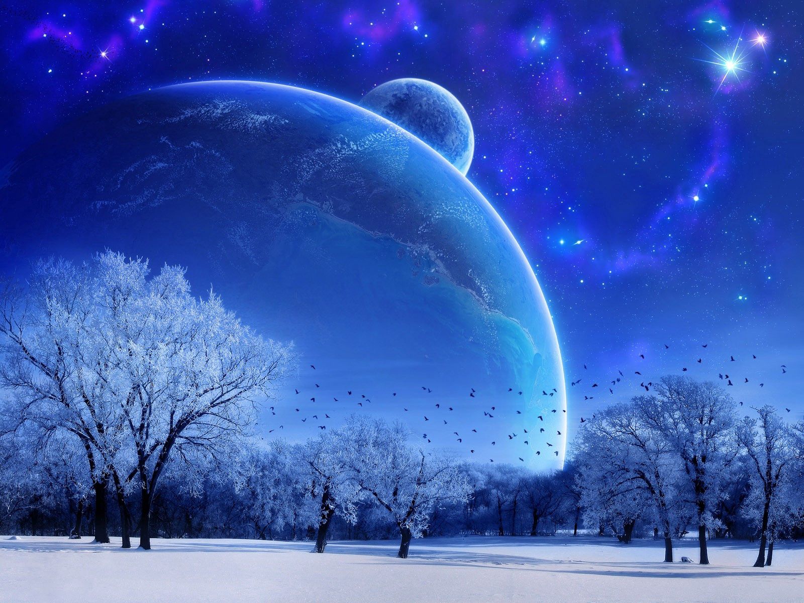 125373 descargar imagen invierno, birds, árboles, fantasía, planetas, estrellas: fondos de pantalla y protectores de pantalla gratis