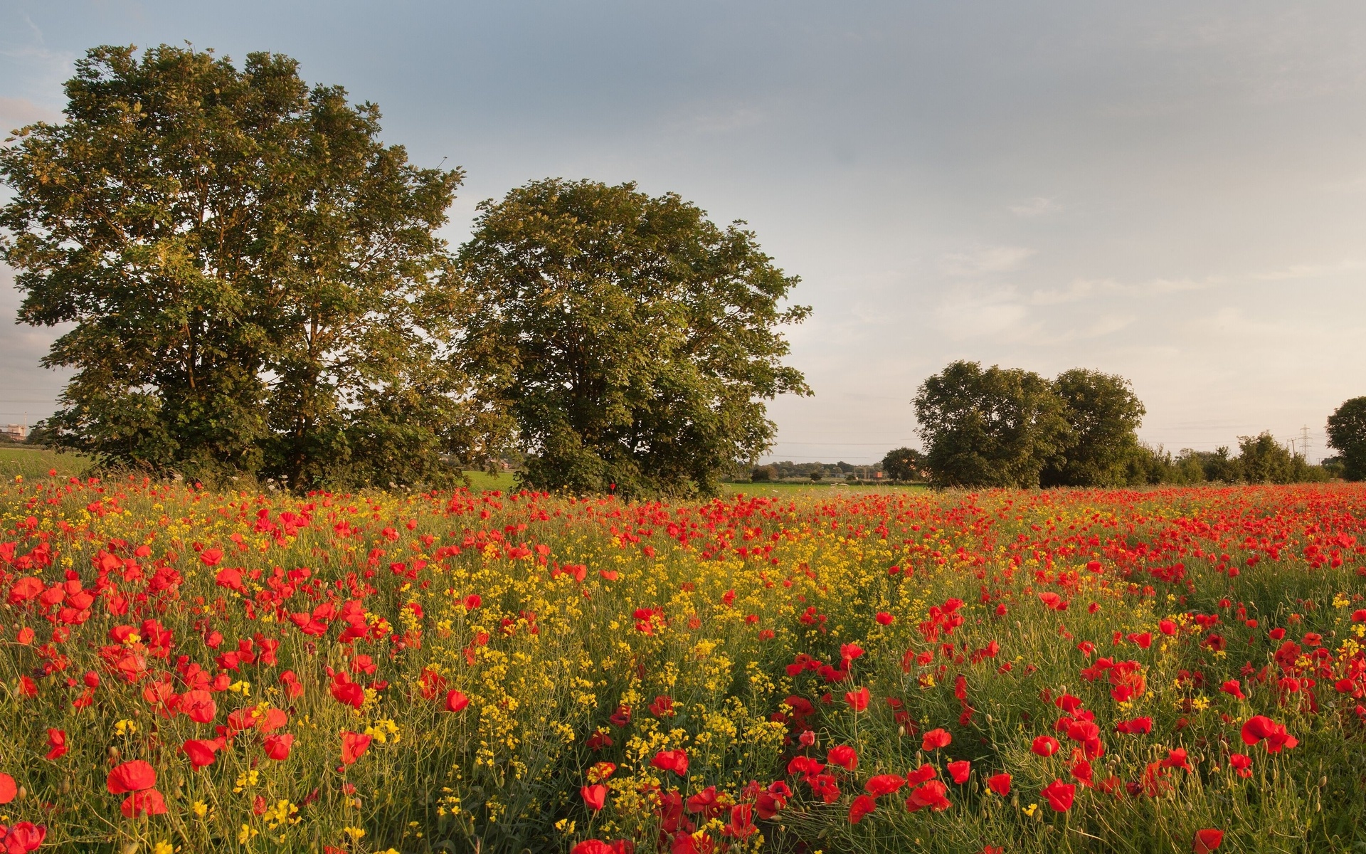 Free download wallpaper Landscape, Earth on your PC desktop