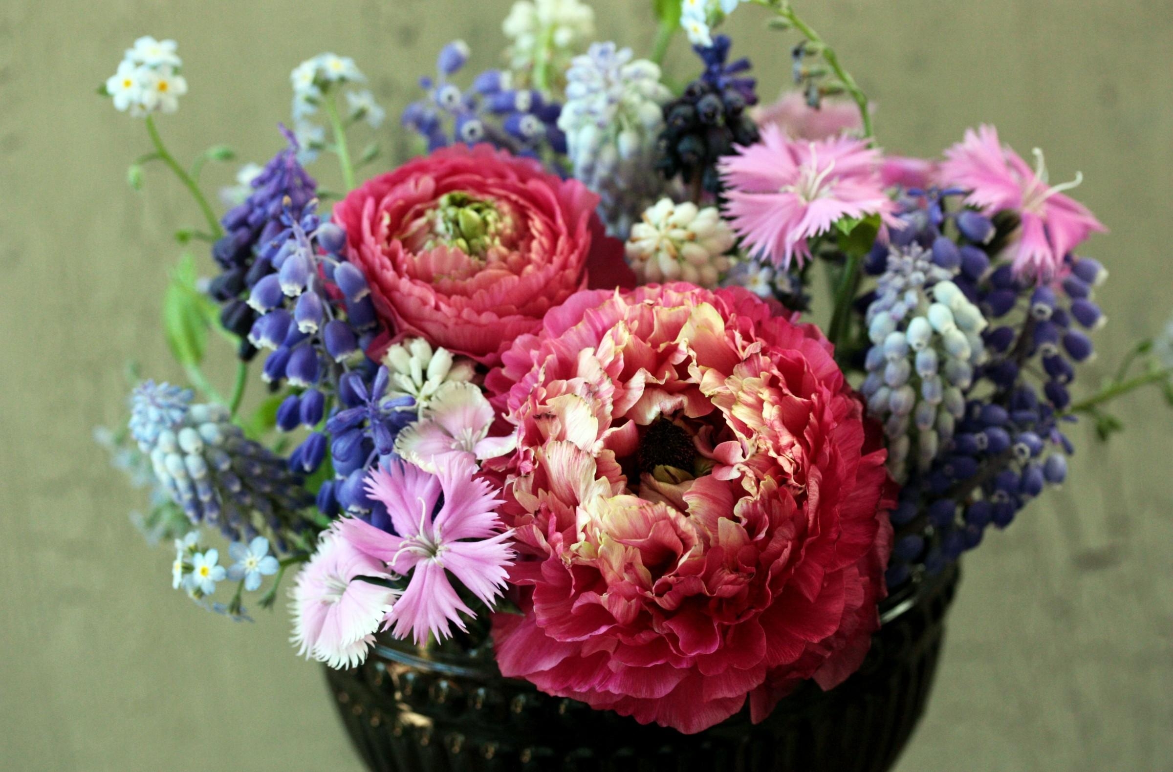 flowers, carnations, bouquet, ranunculus, ranunkulus, forget me nots, muscari, muskari