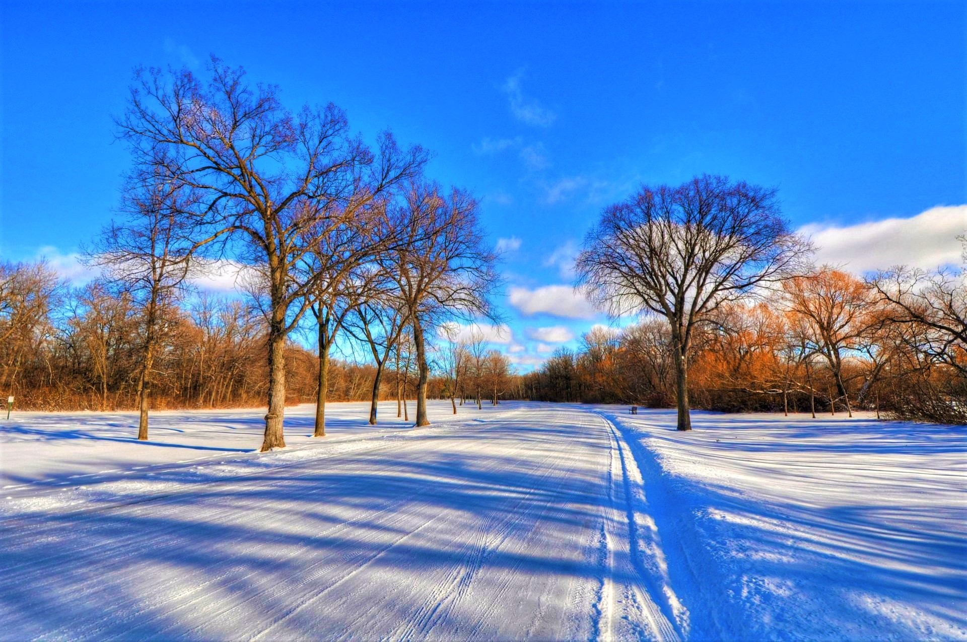 Handy-Wallpaper Winter, Schnee, Baum, Fotografie kostenlos herunterladen.