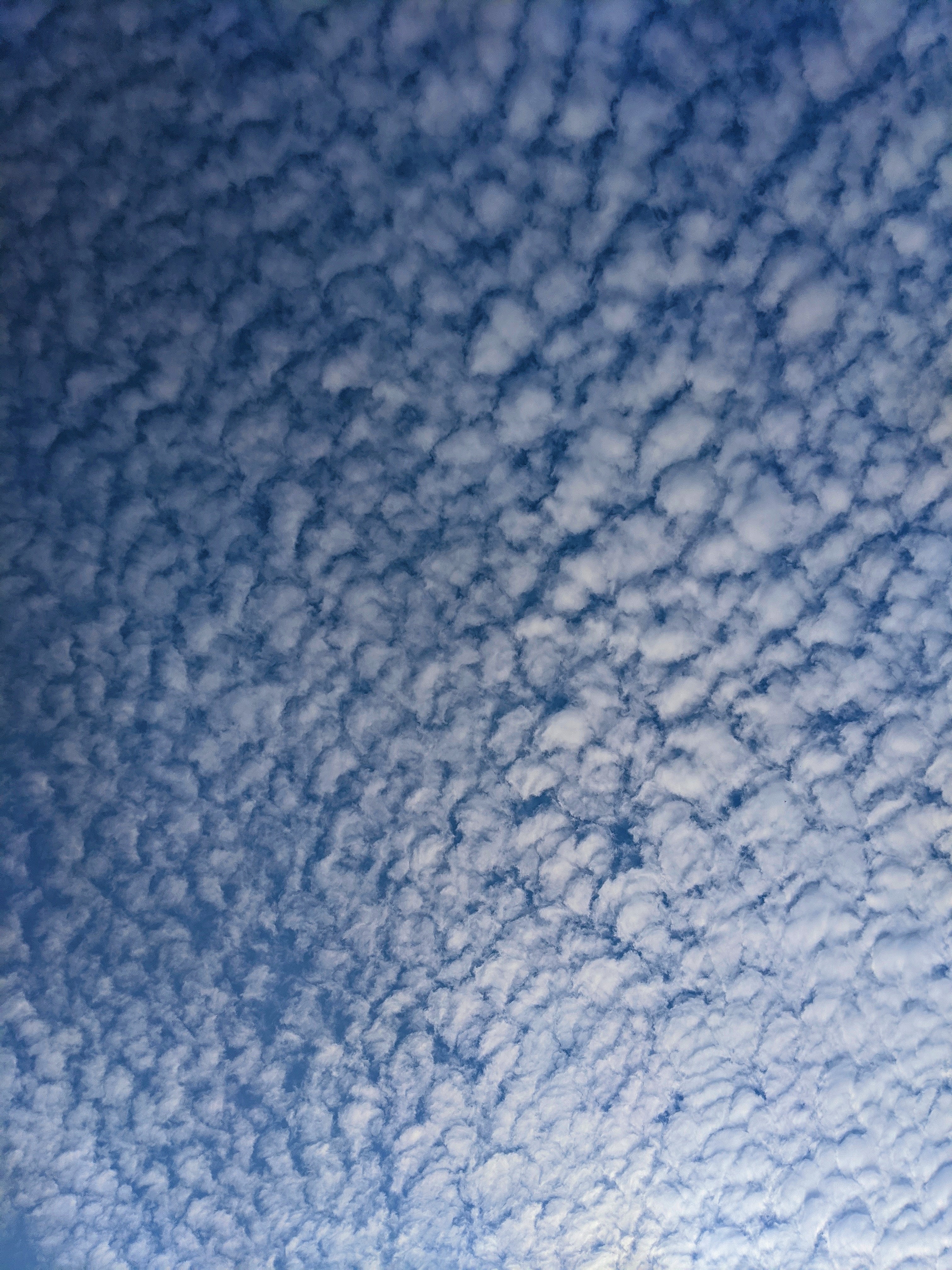 Download mobile wallpaper Cirrus Clouds, Clouds, Feather Clouds, Sky, Nature for free.