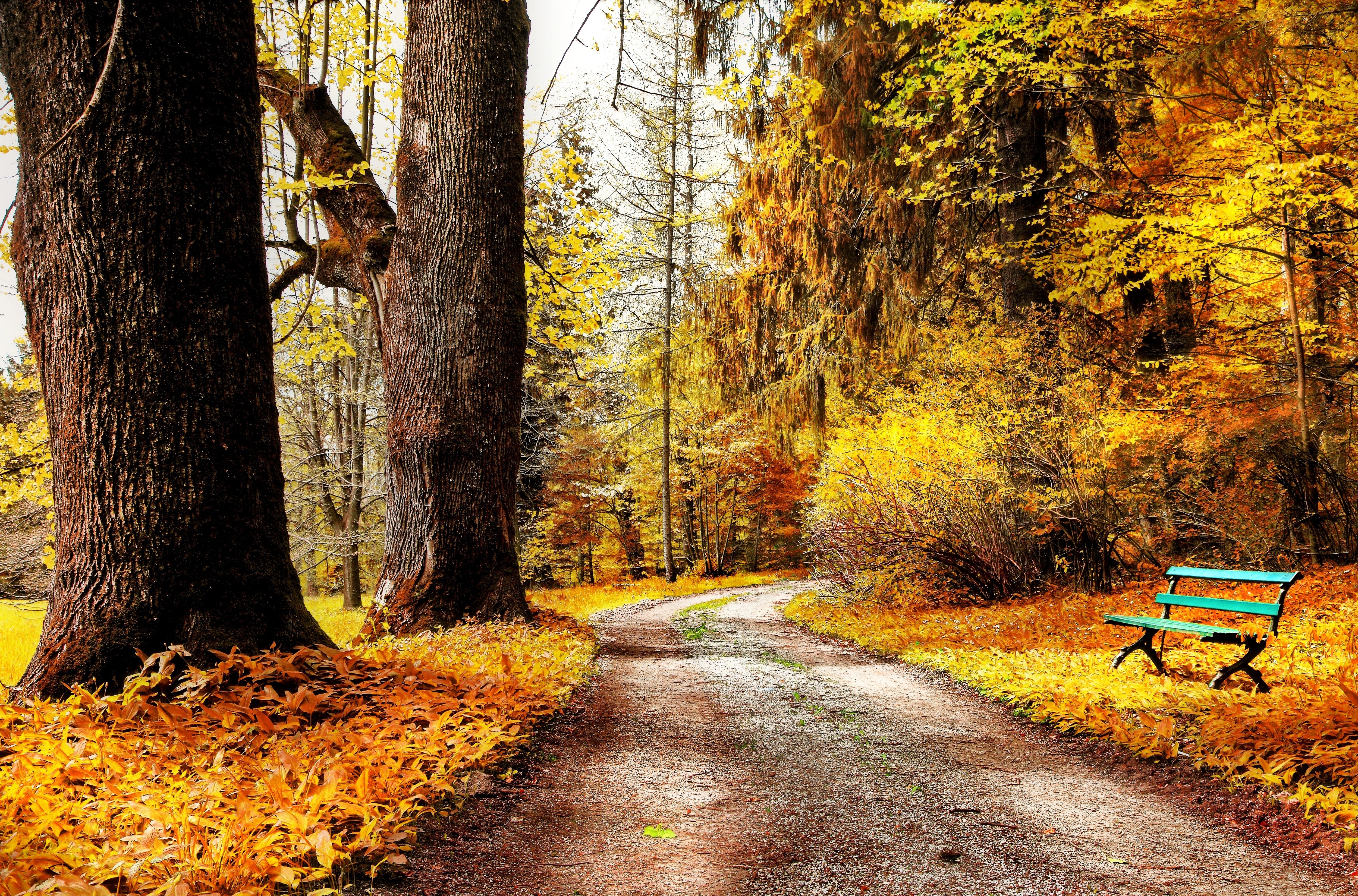 Free download wallpaper Nature, Park, Fall, Earth, Path, Bench on your PC desktop