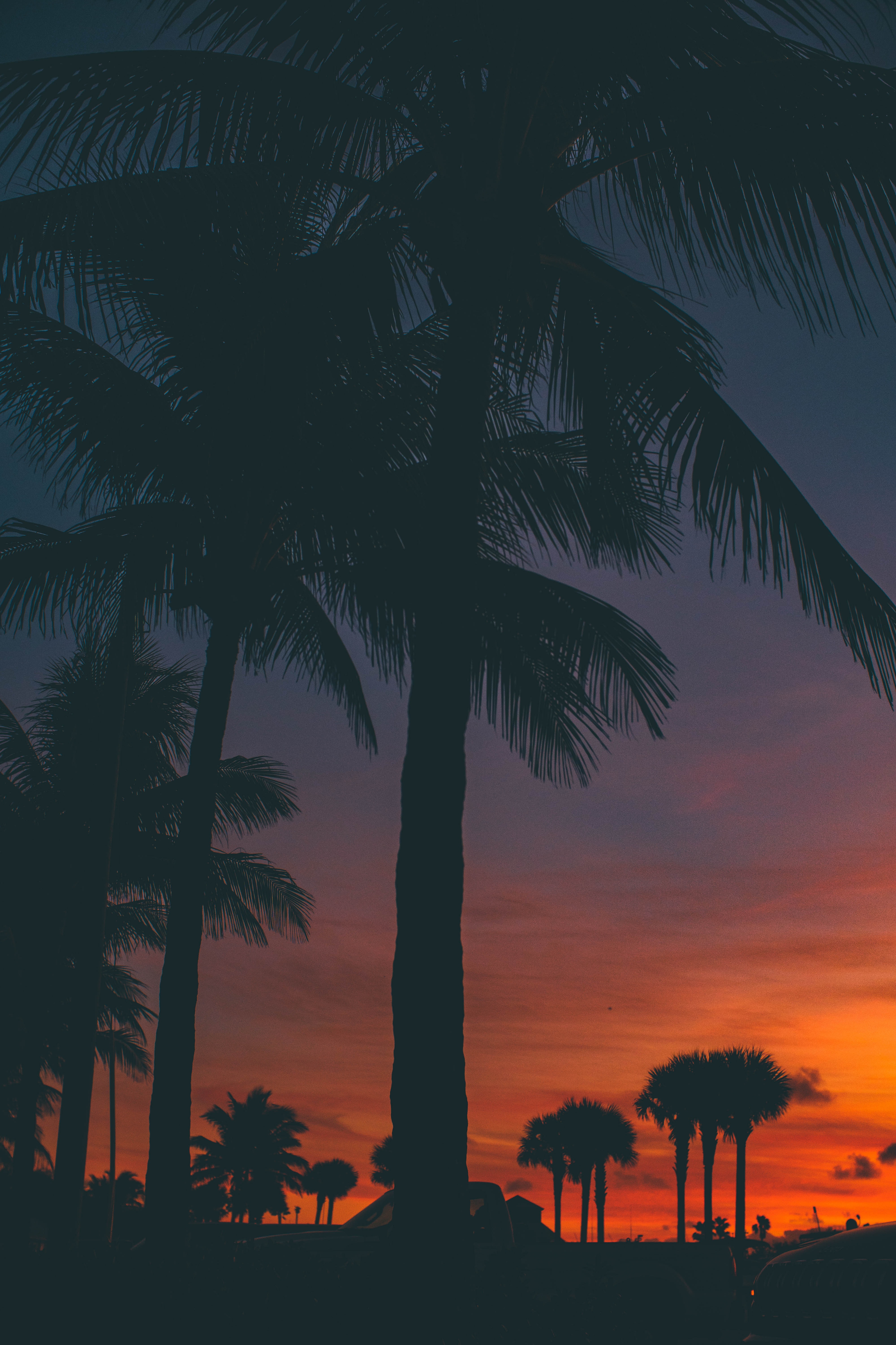 Download mobile wallpaper Sunset, Palms, Silhouette, Dark for free.