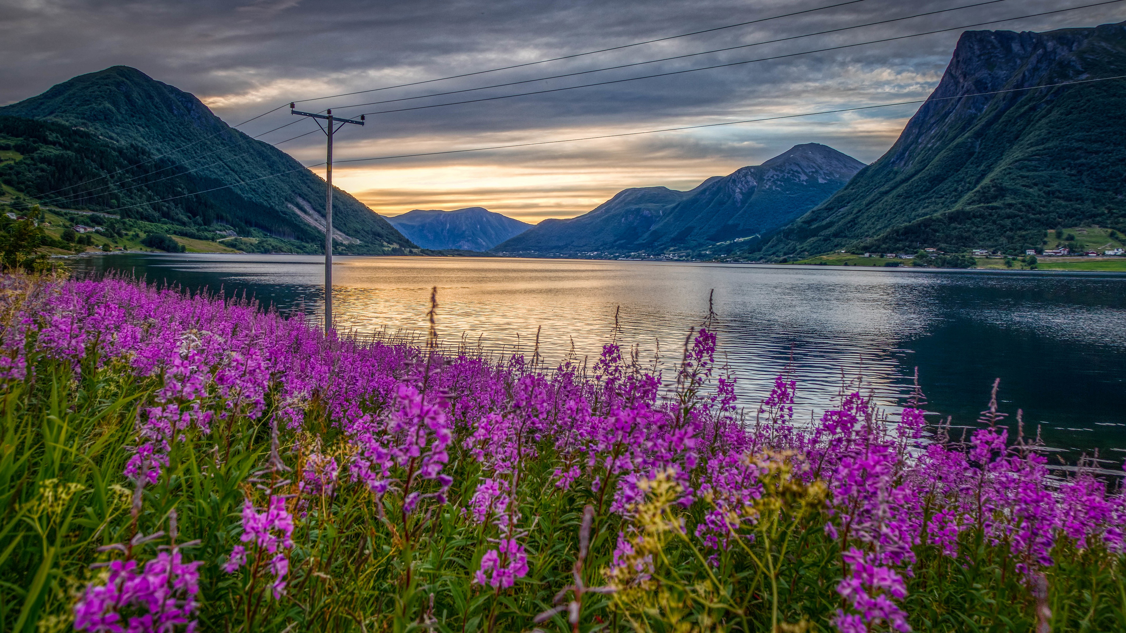 Laden Sie das Ufer, Blume, Fluss, Gebirge, Wolke, Himmel, Erde/natur-Bild kostenlos auf Ihren PC-Desktop herunter