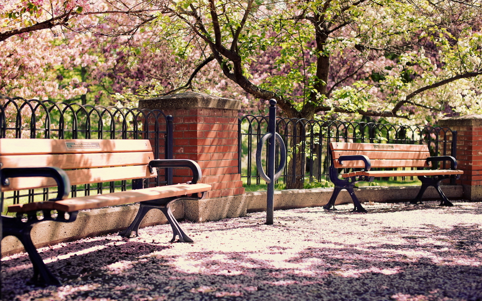 park, man made, bench, blossom, fence, sunny