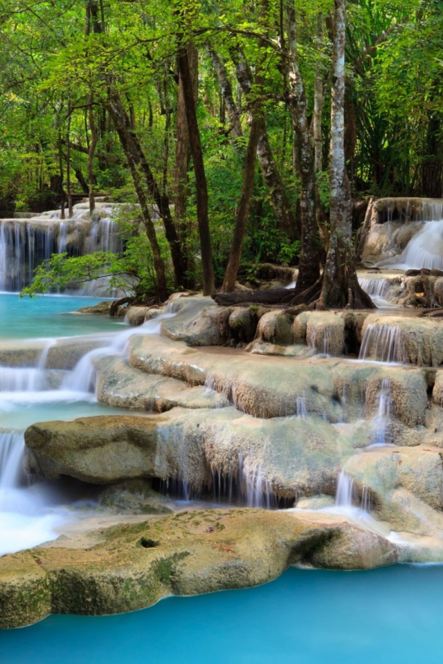 Descarga gratuita de fondo de pantalla para móvil de Naturaleza, Agua, Cascadas, Cascada, Bosque, Árbol, Tierra, Piedra, Tierra/naturaleza.