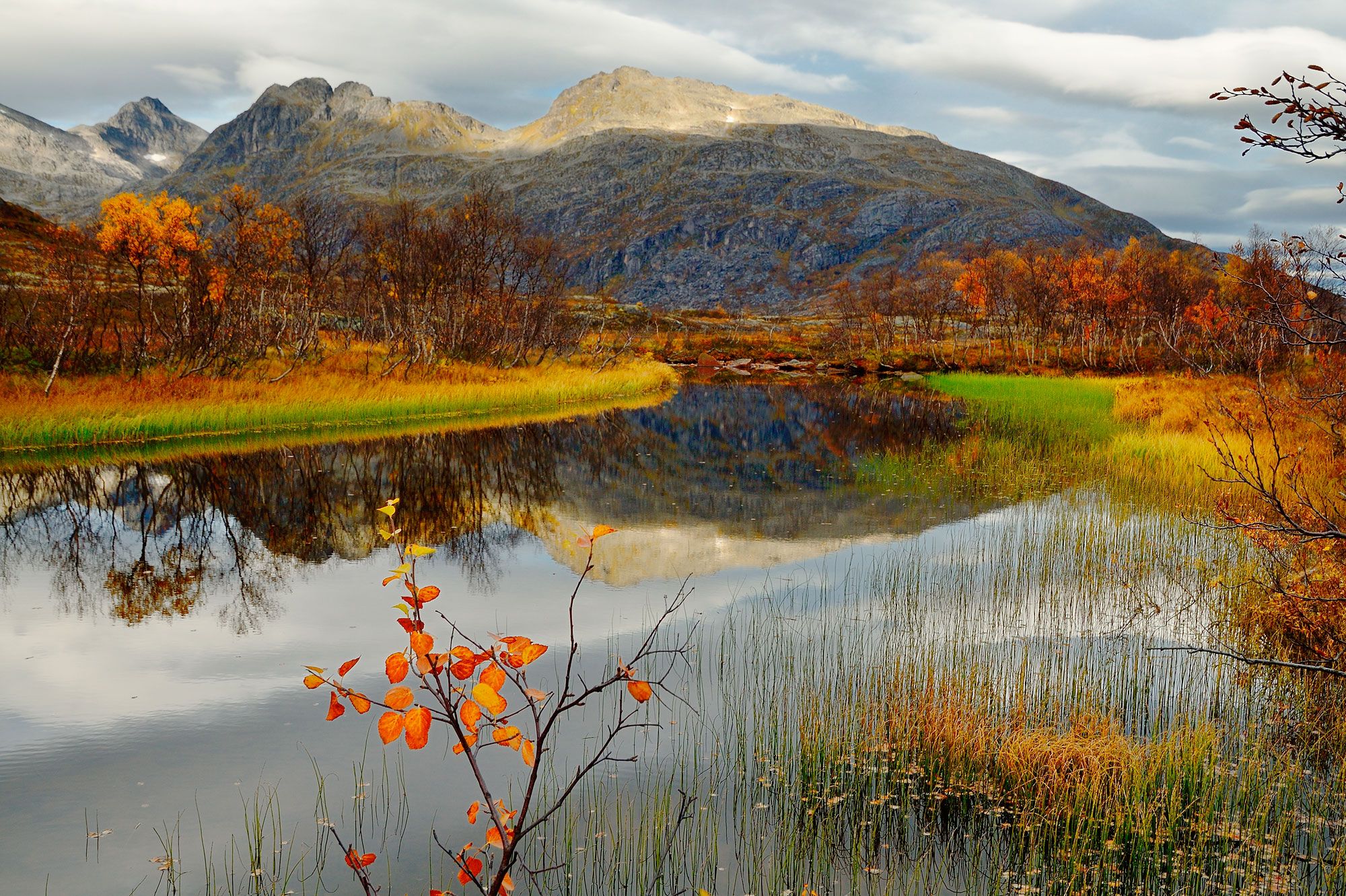 Téléchargez gratuitement l'image Automne, Terre/nature sur le bureau de votre PC