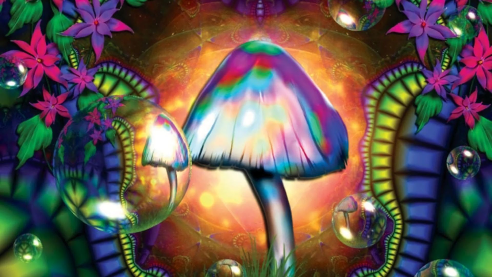 Download mobile wallpaper Colors, Mushroom, Artistic, Psychedelic for free.