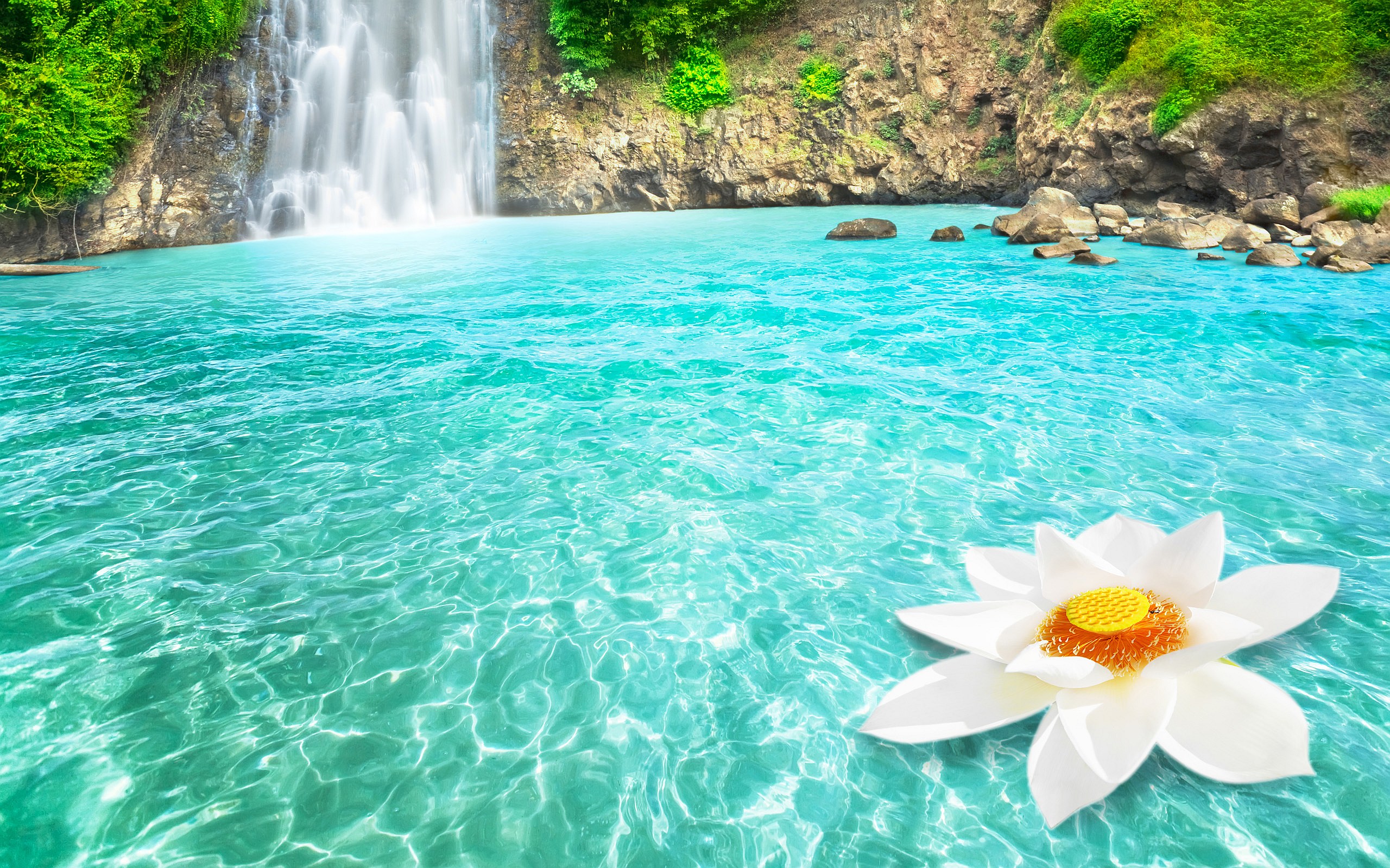 Download mobile wallpaper Nature, Waterfalls, Lotus, Lake, Waterfall, Earth, Tropical, White Flower for free.