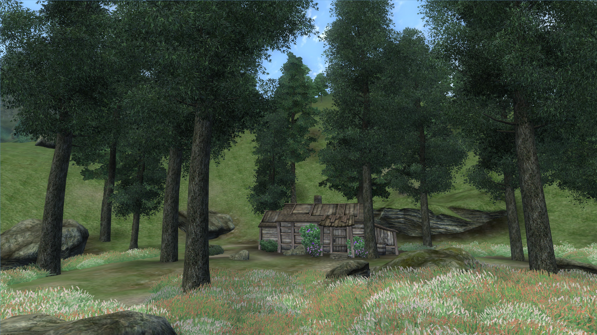 Téléchargez des papiers peints mobile Jeux Vidéo, The Elder Scrolls Iv: Oblivion, Les Parchemins Anciens gratuitement.