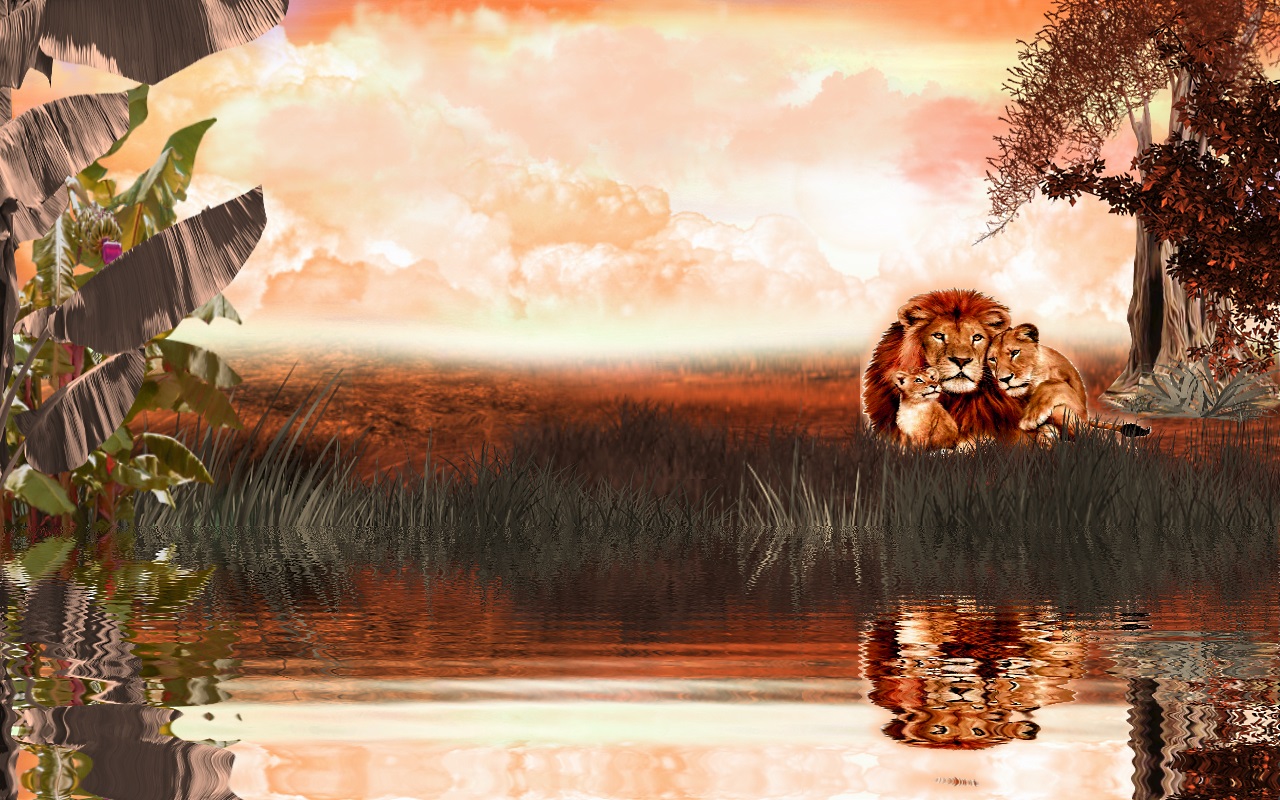 Free download wallpaper Landscape, Water, Lion, Artistic, Orange (Color) on your PC desktop