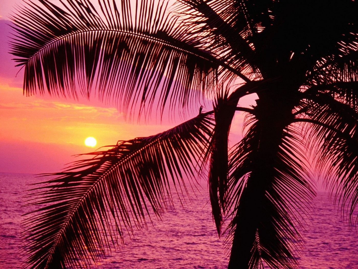 Free download wallpaper Sunset, Sea, Landscape, Beach on your PC desktop