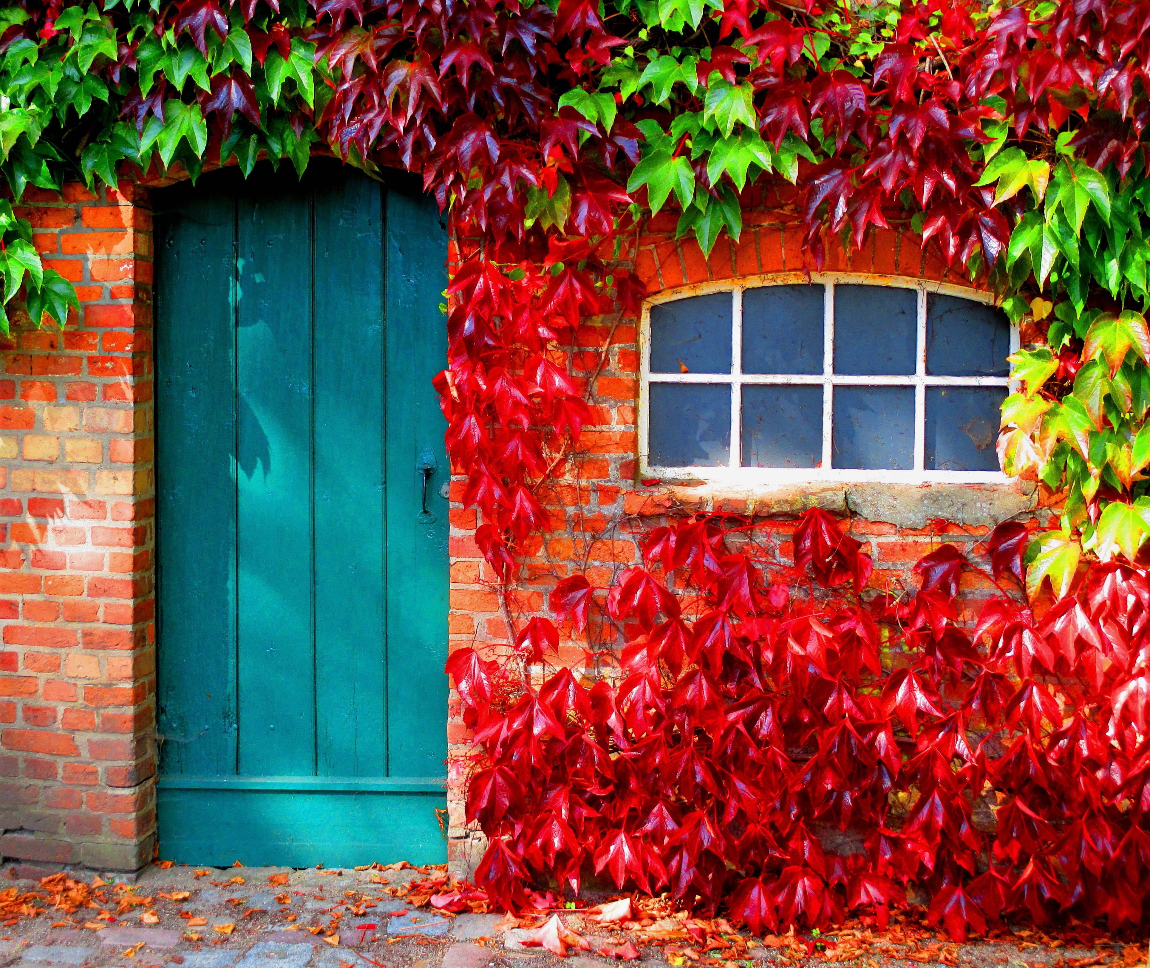 860543 скачать картинку осень, сделано человеком, дверь, кирпичи, дом, плющ - обои и заставки бесплатно