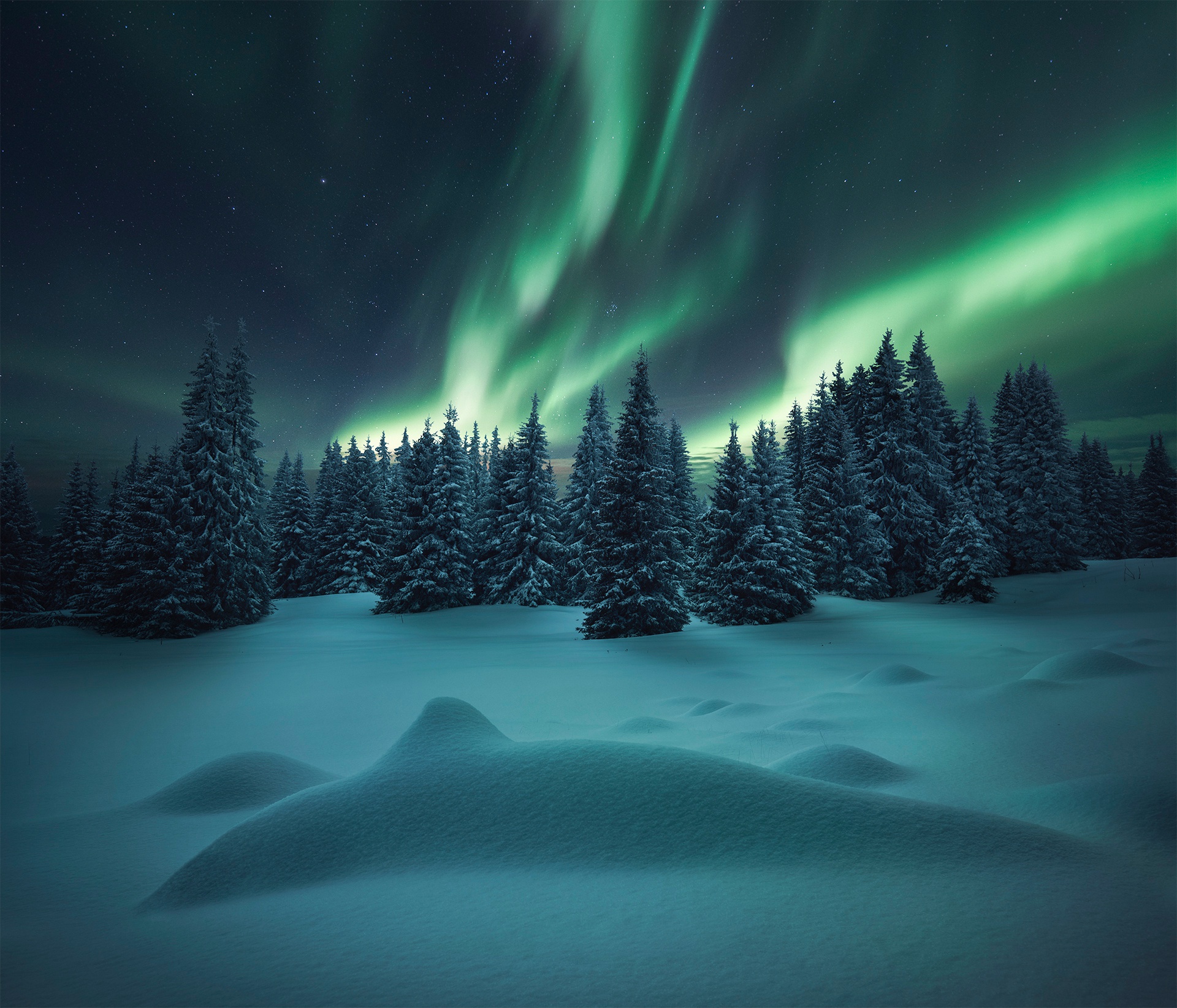 PCデスクトップに冬, 自然, 木, 雪, 地球, オーロラ, 夜, 空画像を無料でダウンロード