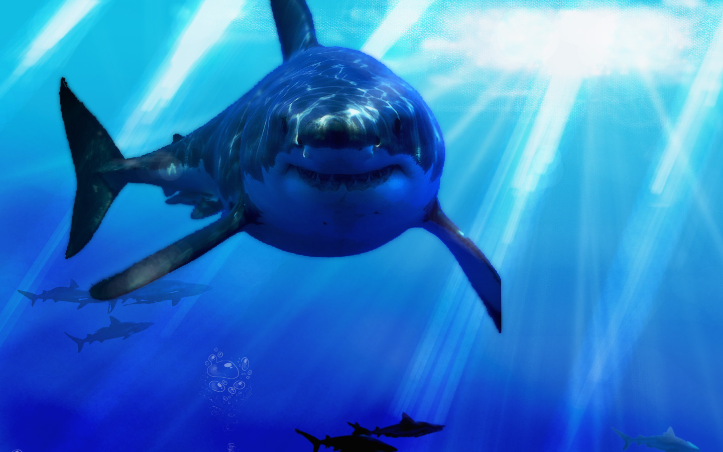 1434412 baixar papel de parede animais, grande tubarão branco - protetores de tela e imagens gratuitamente