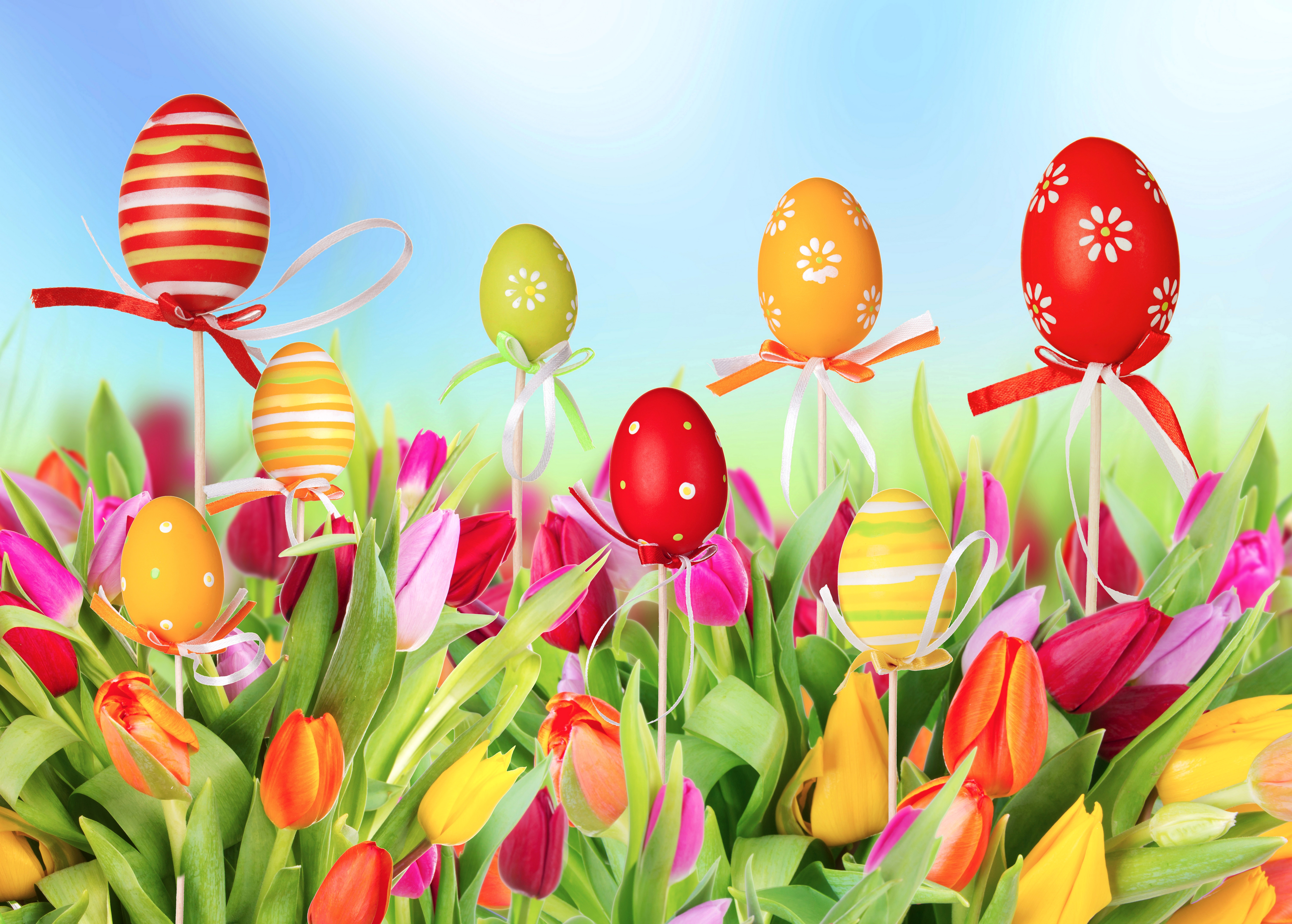 Скачати мобільні шпалери Великдень, Квітка, Свято, Барвистий, Тюльпан, Яйце, Пасхальне Яйце безкоштовно.