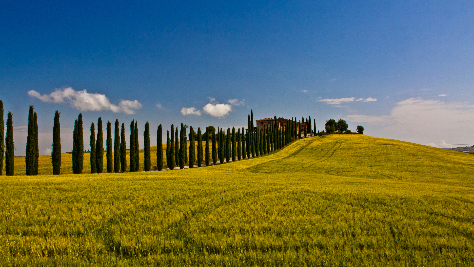 Baixar papel de parede para celular de Fotografia, Toscana gratuito.