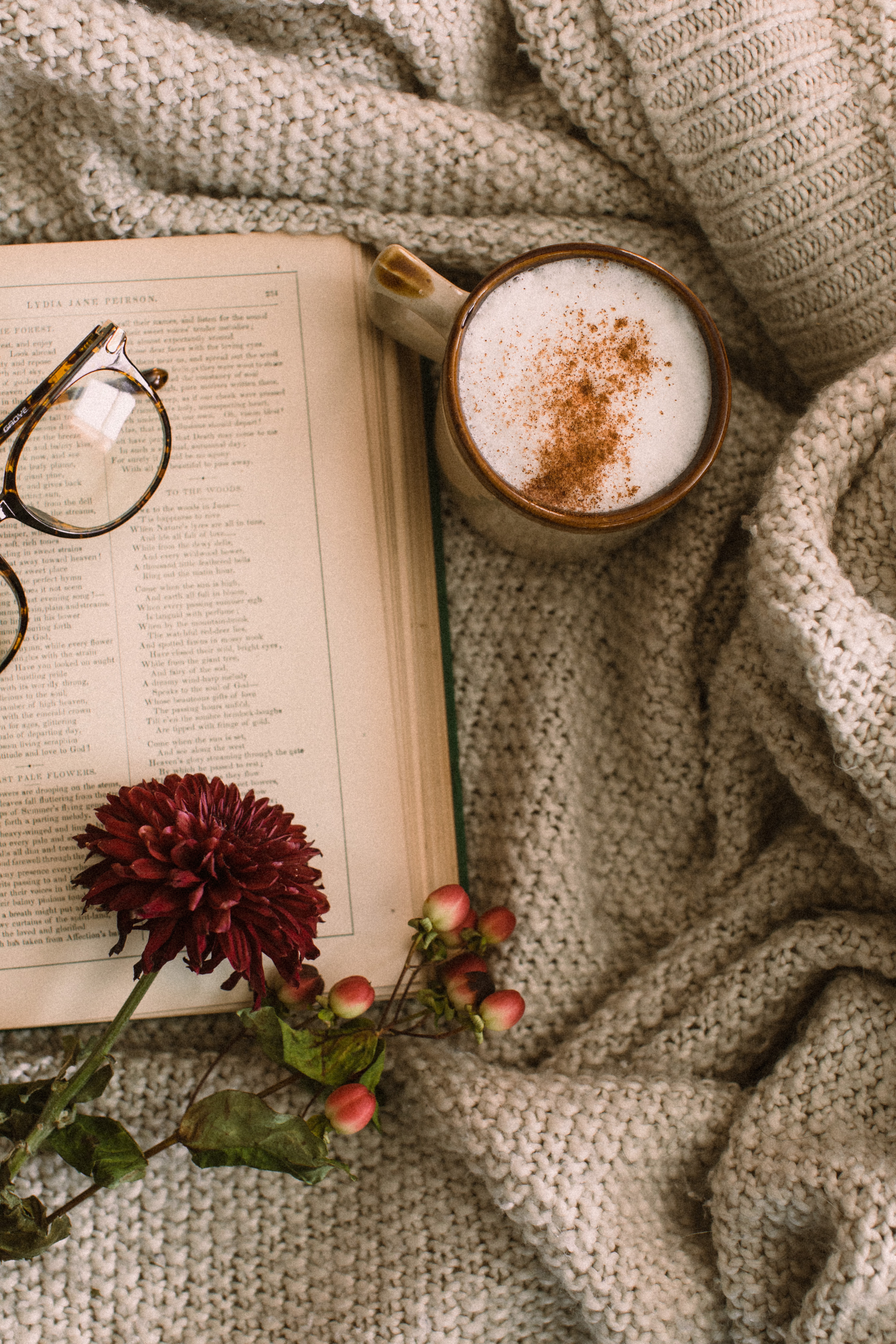 book, cup, food, spectacles, flowers, coffee, cappuccino, glasses, mug cellphone