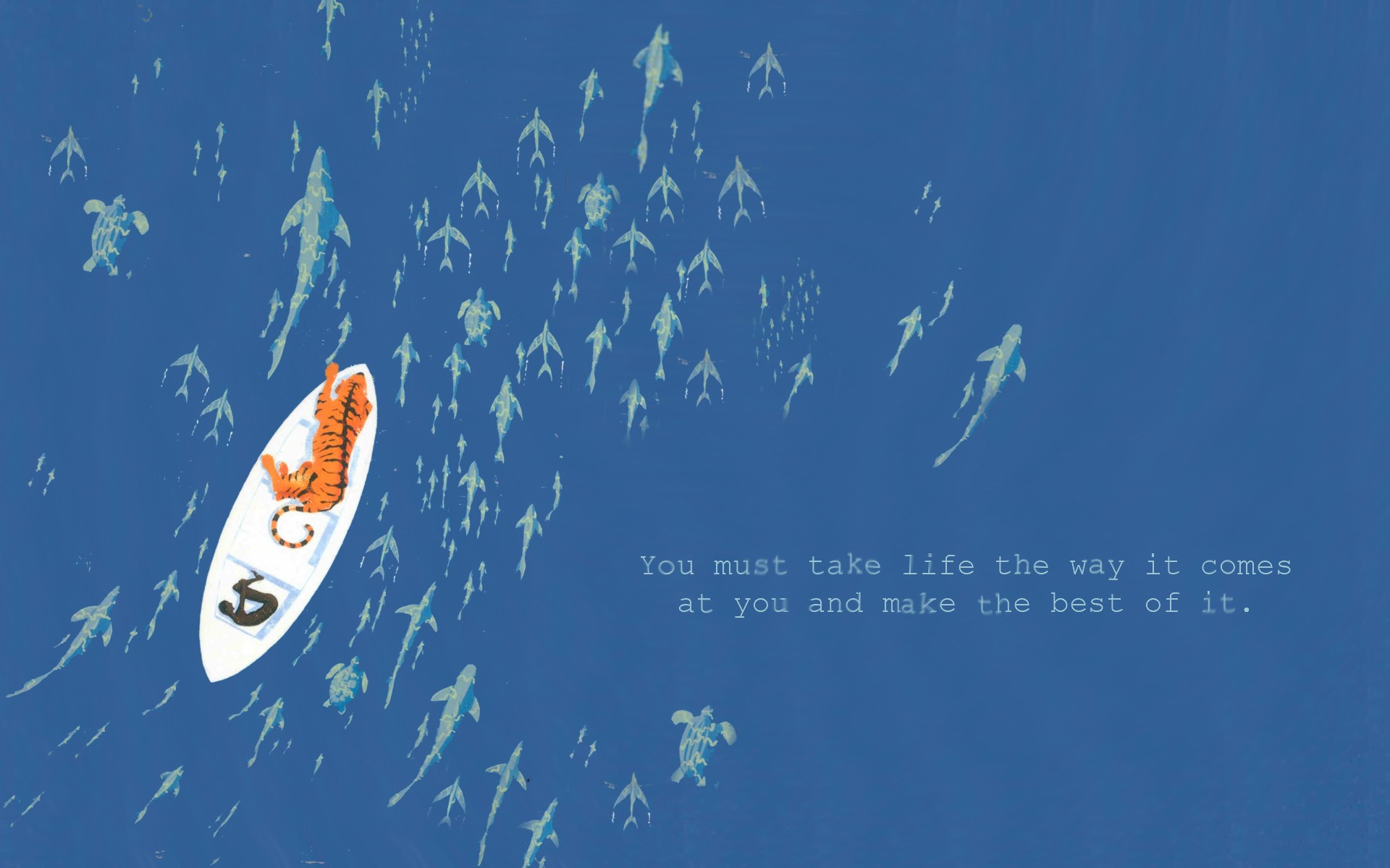 Download mobile wallpaper Movie, Life Of Pi for free.