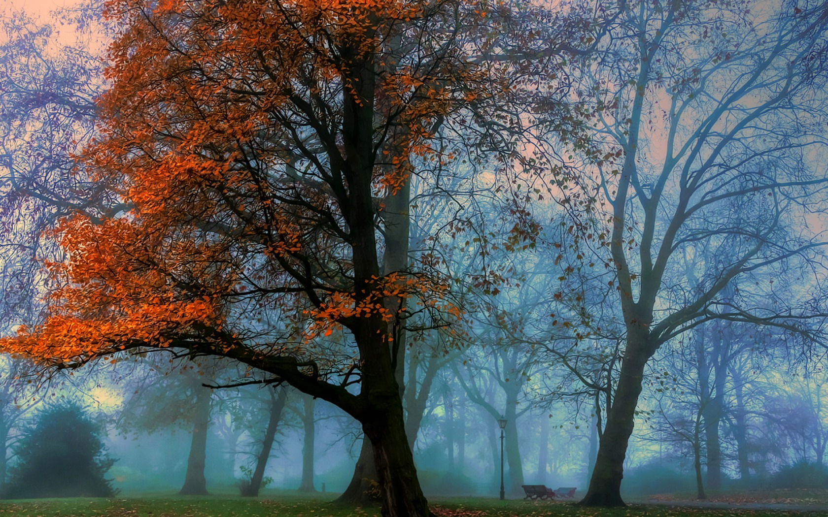 Laden Sie das Park, Fotografie-Bild kostenlos auf Ihren PC-Desktop herunter