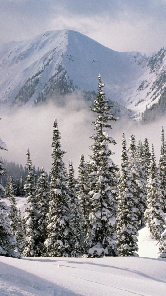 Descarga gratuita de fondo de pantalla para móvil de Invierno, Tierra/naturaleza.