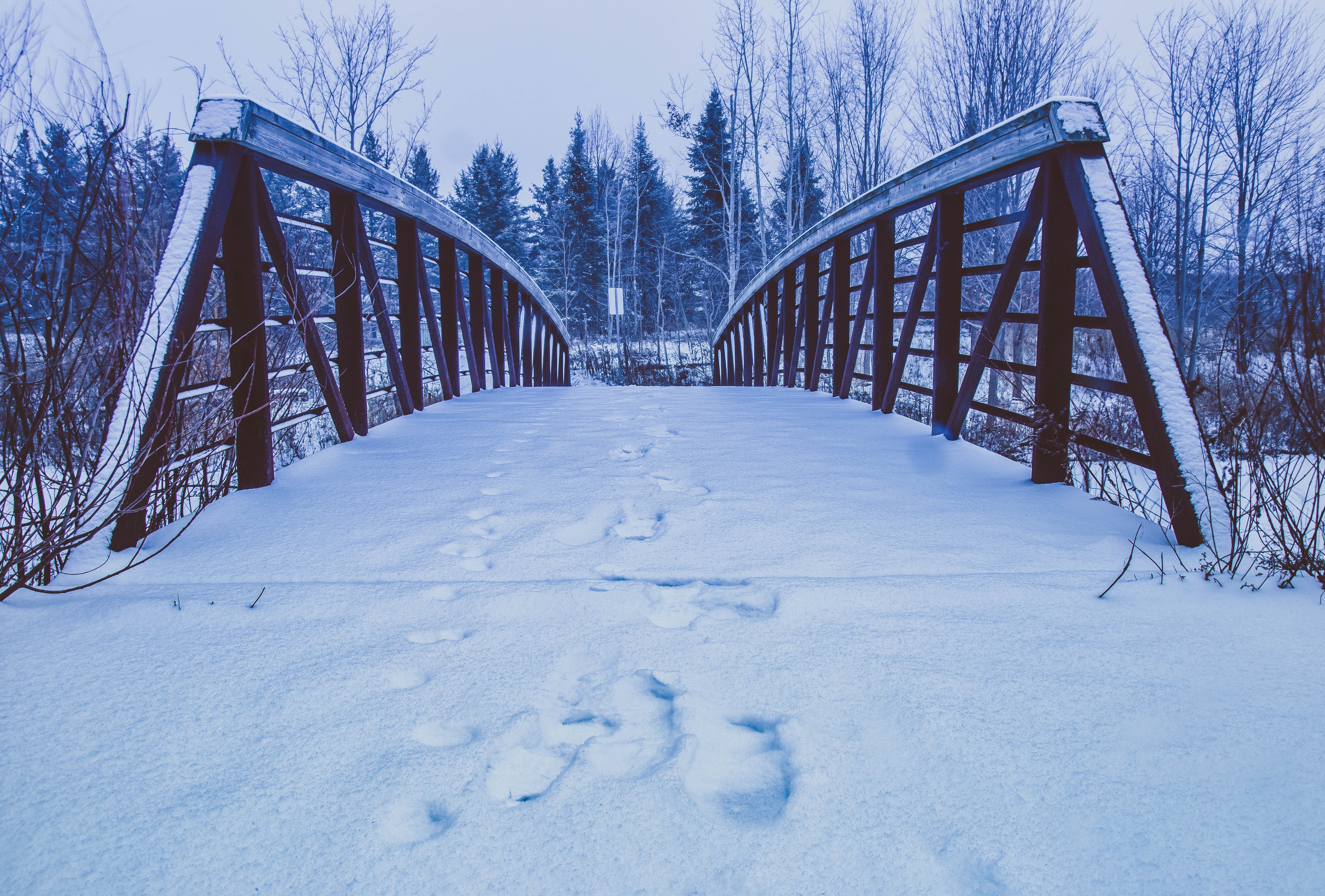Скачать обои бесплатно Следы, Природа, Мост, Снег, Зима картинка на рабочий стол ПК