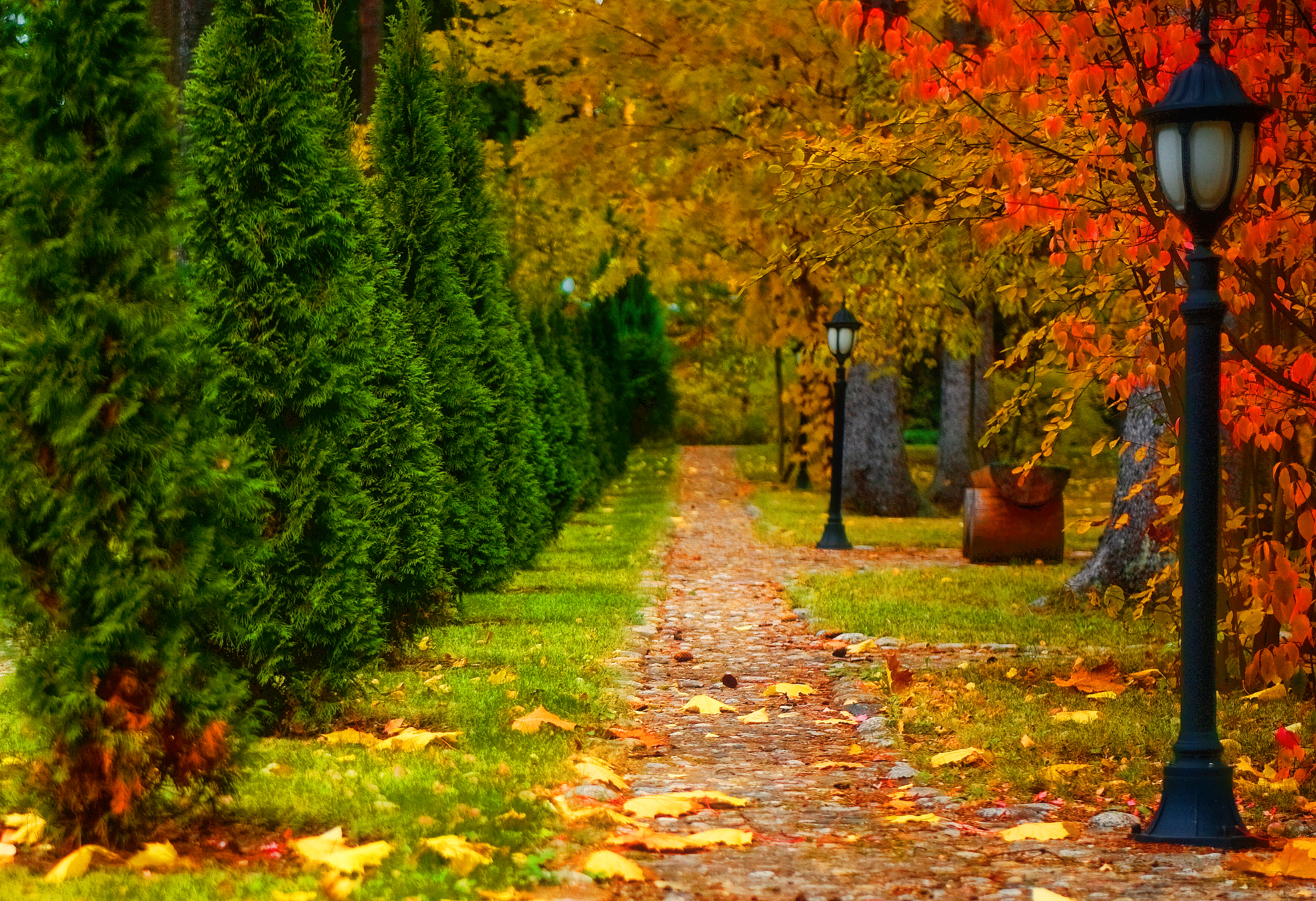 Free download wallpaper Tree, Fall, Path, Lamp Post, Man Made on your PC desktop