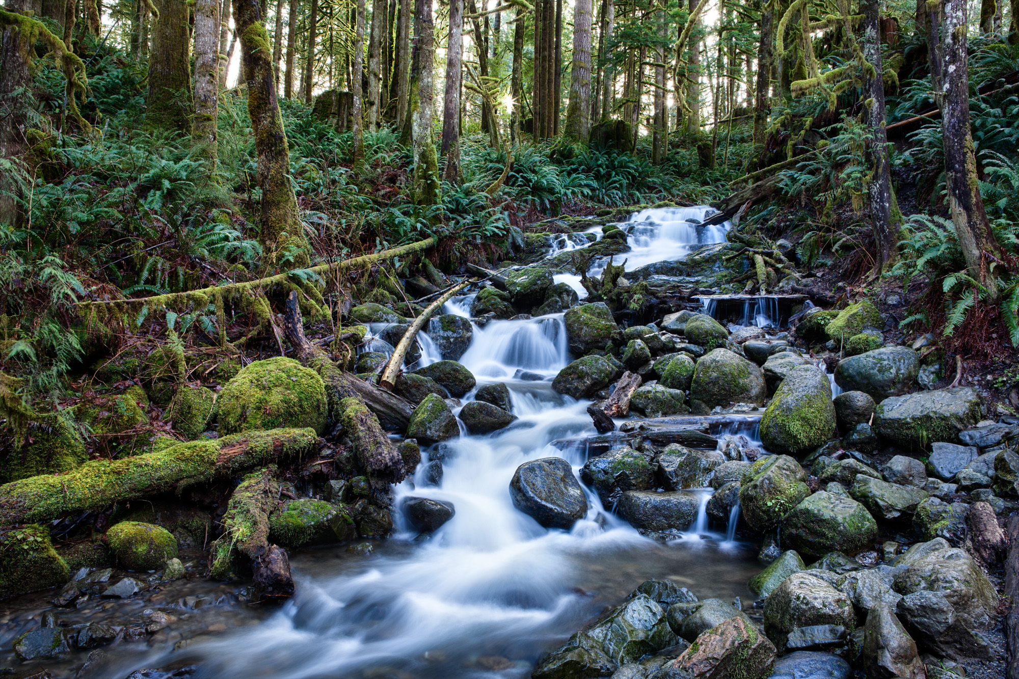 Free download wallpaper Nature, Forest, Earth, Stone, Stream on your PC desktop