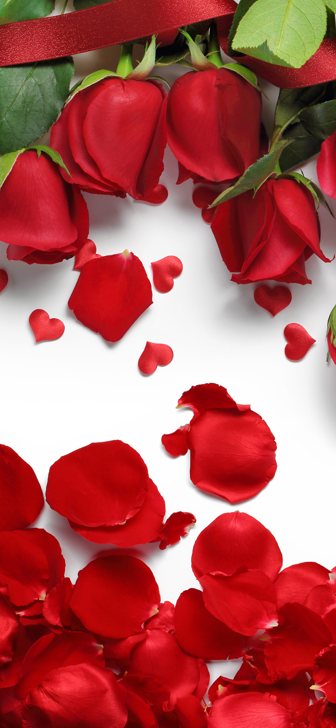 Téléchargez des papiers peints mobile Fleurs, Rose, Fleur, Pétale, Rose Rouge, Fleur Rouge, Terre/nature gratuitement.