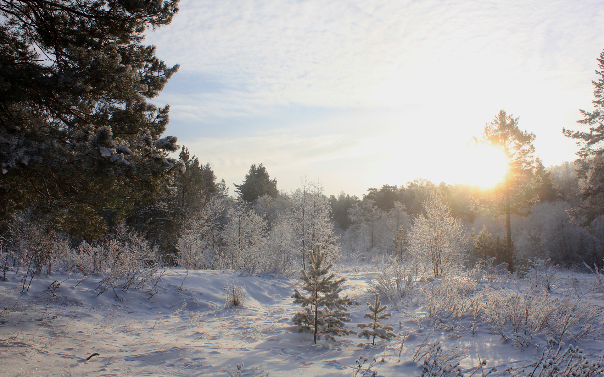 Téléchargez des papiers peints mobile Hiver, Terre/nature gratuitement.