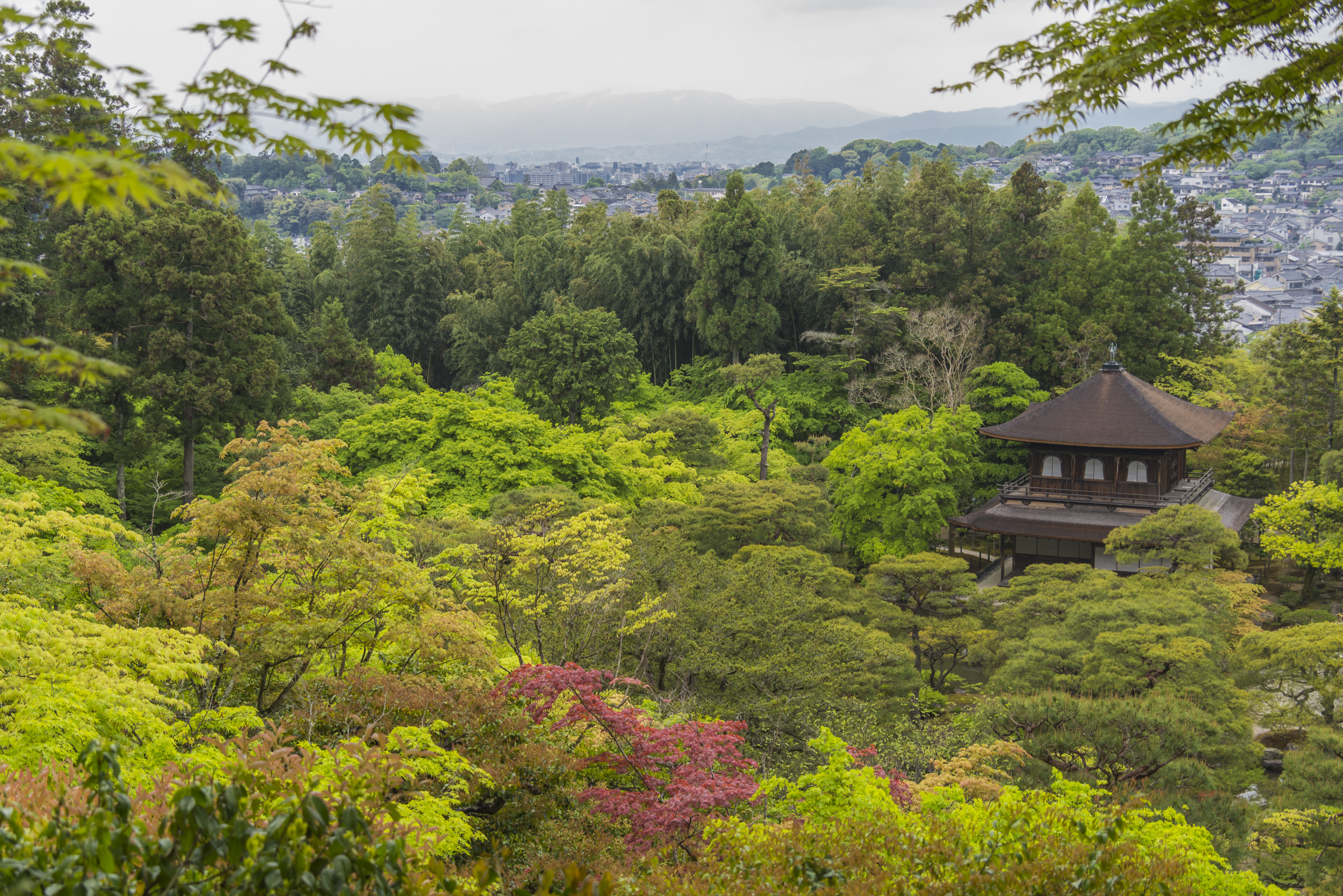 354240 télécharger le fond d'écran religieux, jishō ji, jardin, ginkaku ji, japon, kyoto, temple de la miséricorde brillante, temple, zen, temples - économiseurs d'écran et images gratuitement