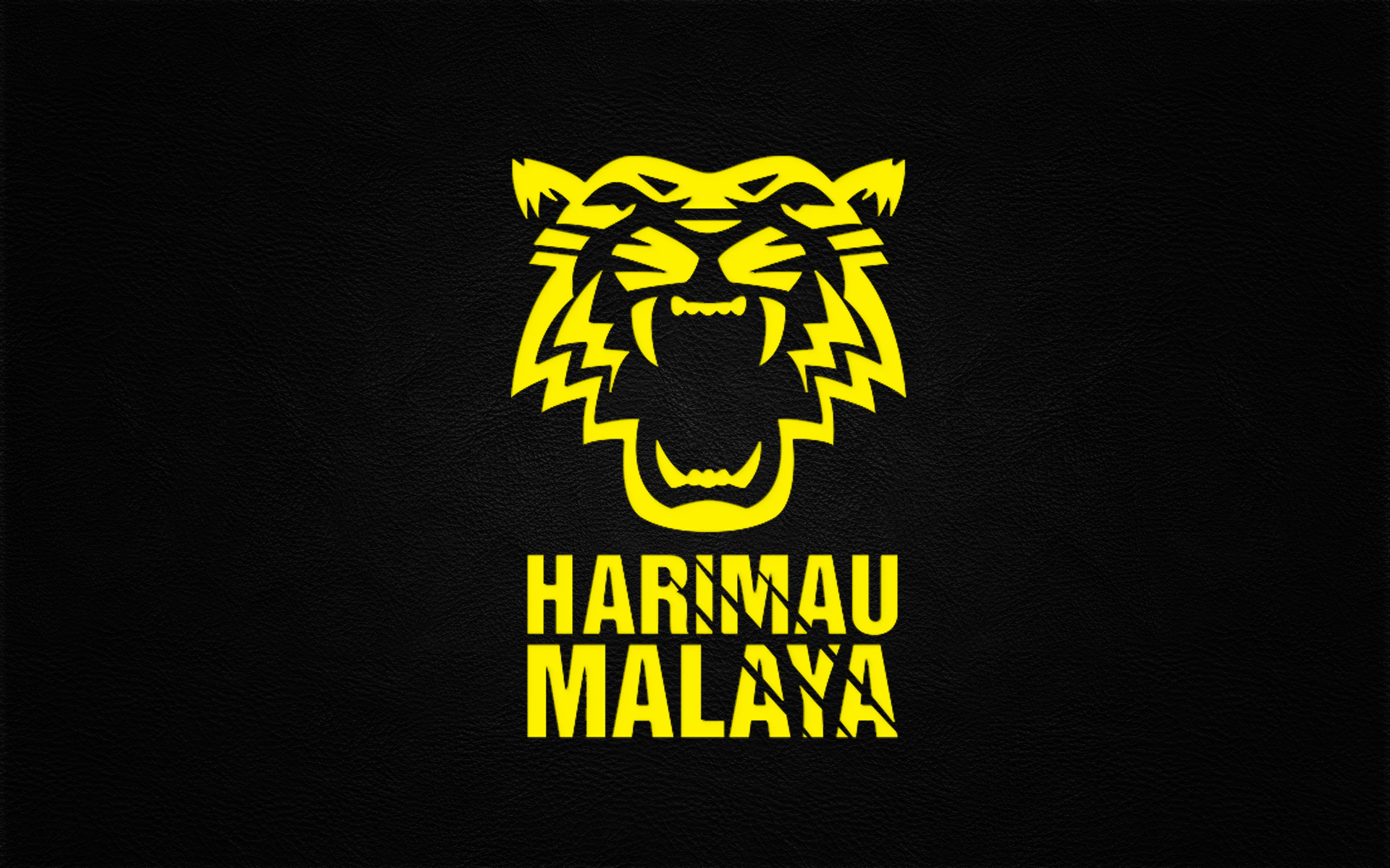 Скачать обои Сборная Малайзии По Футболу на телефон бесплатно