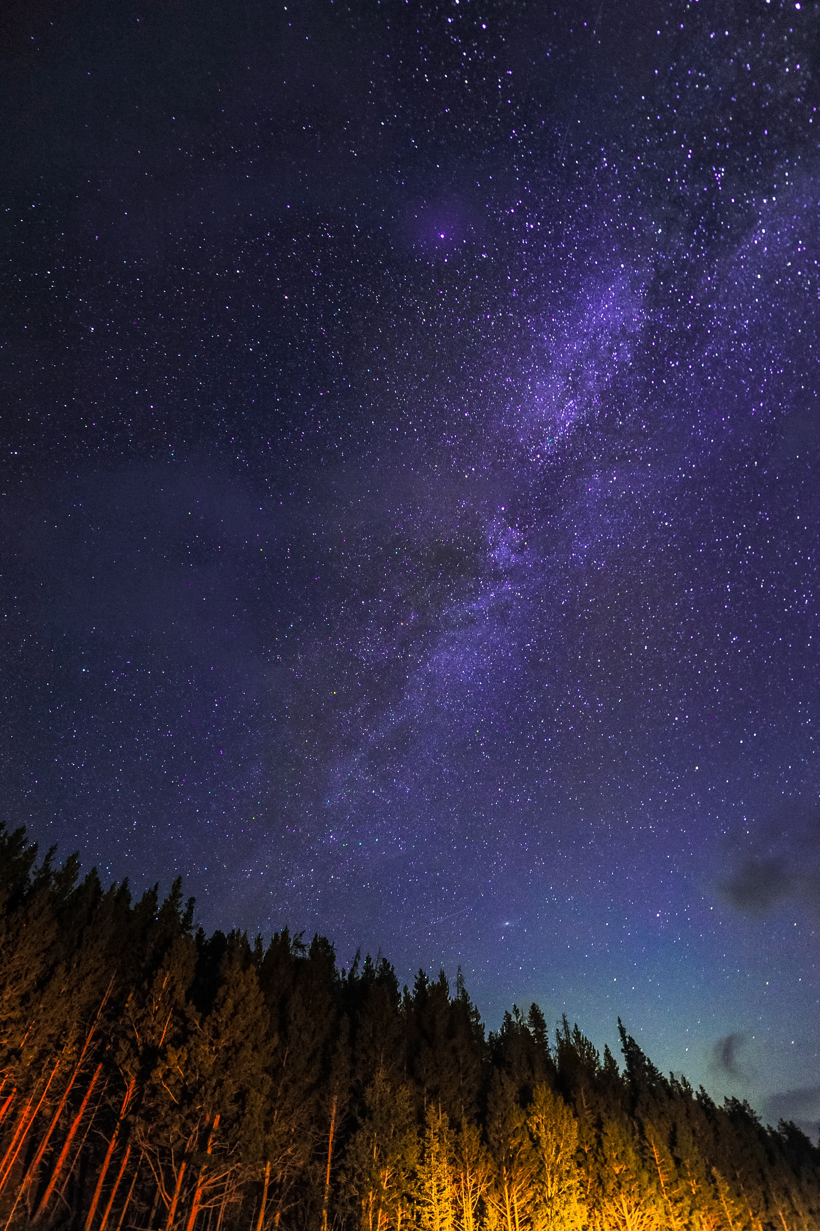 131013 descargar imagen cielo estrellado, naturaleza, árboles, cielo, estrellas, noche, oblicuamente: fondos de pantalla y protectores de pantalla gratis