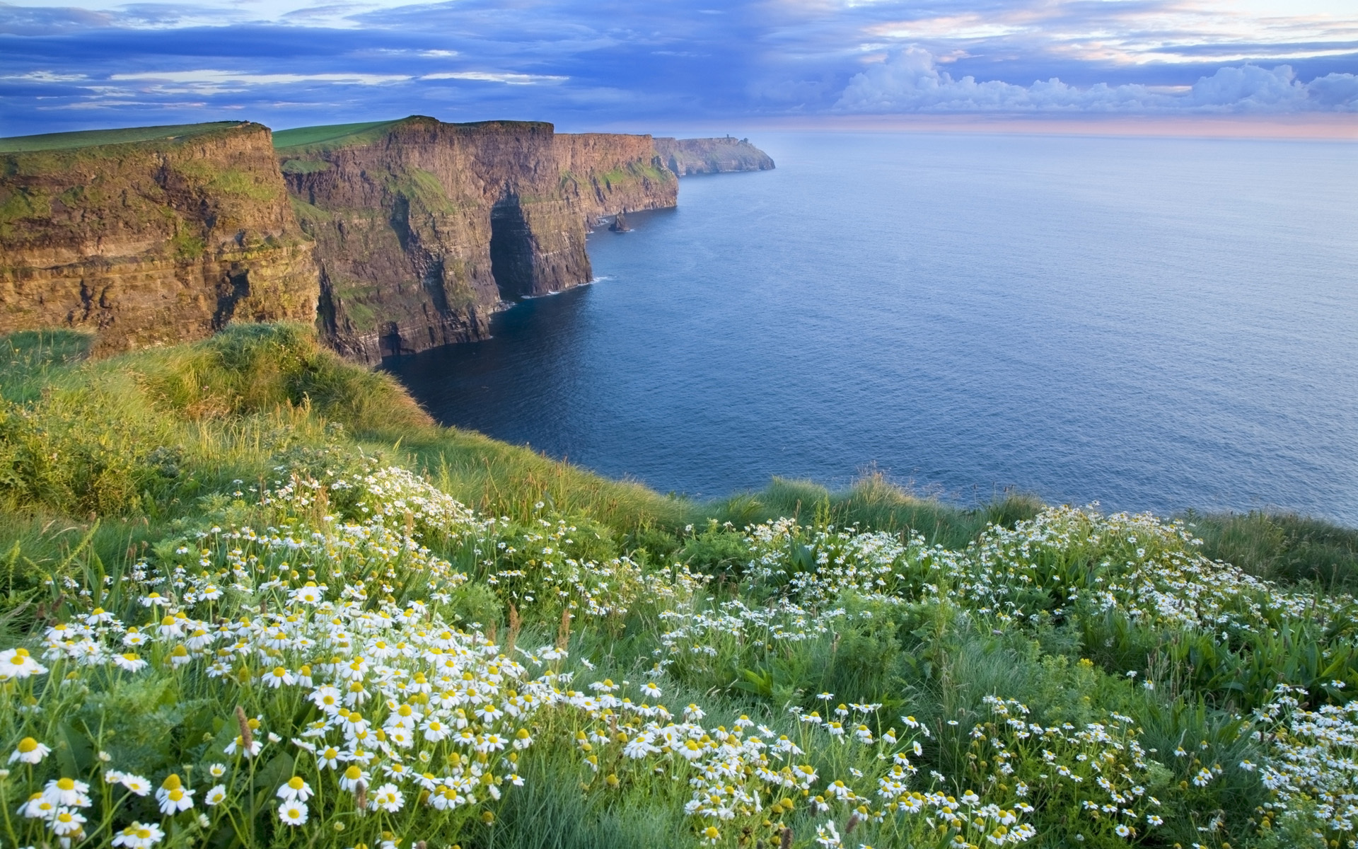 Laden Sie das Horizont, Blume, Küste, Ozean, Cliff, Gänseblümchen, Meer, Erde/natur-Bild kostenlos auf Ihren PC-Desktop herunter