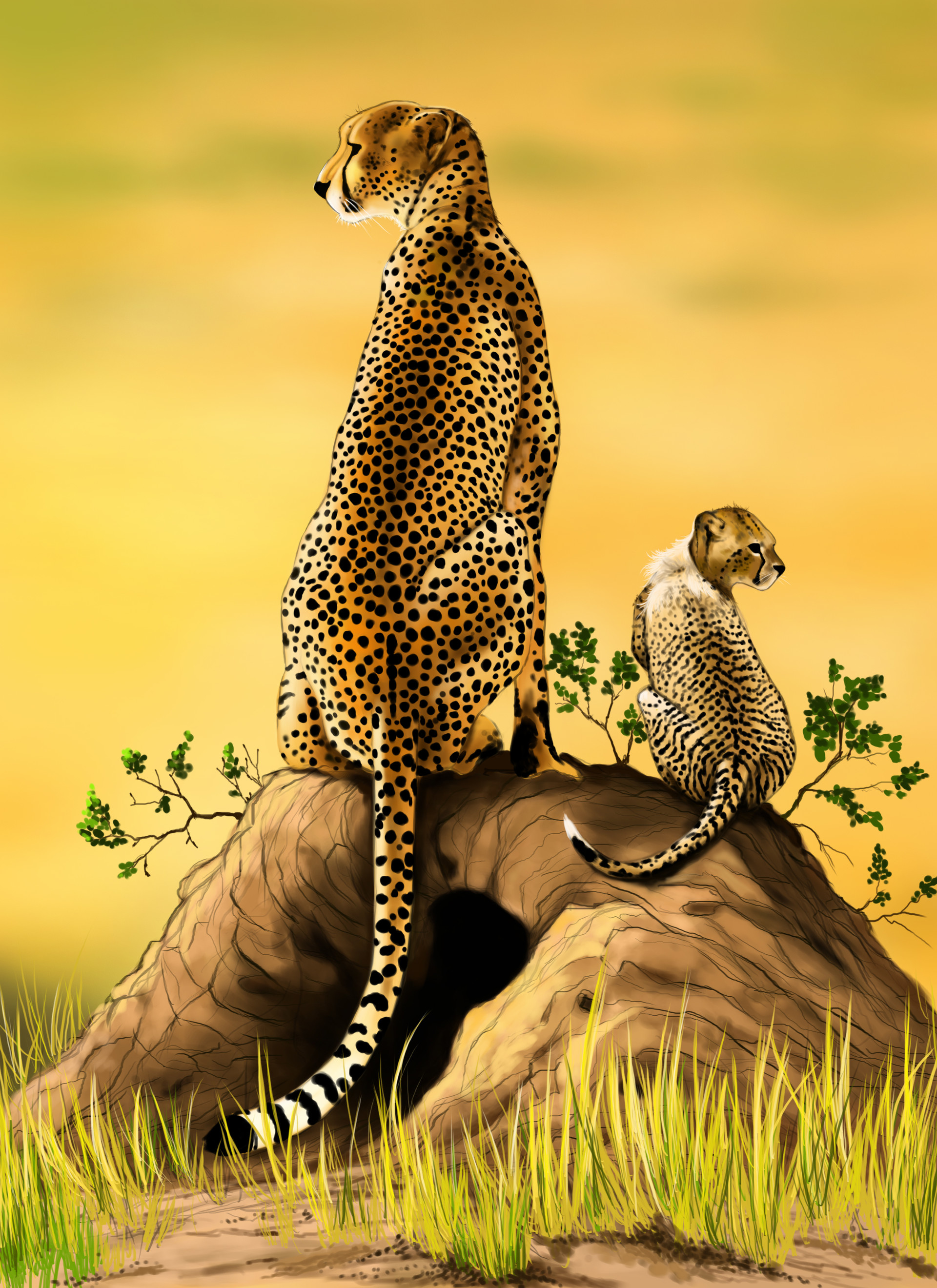 art, cheetah, joey, young, predator, big cat wallpaper for mobile