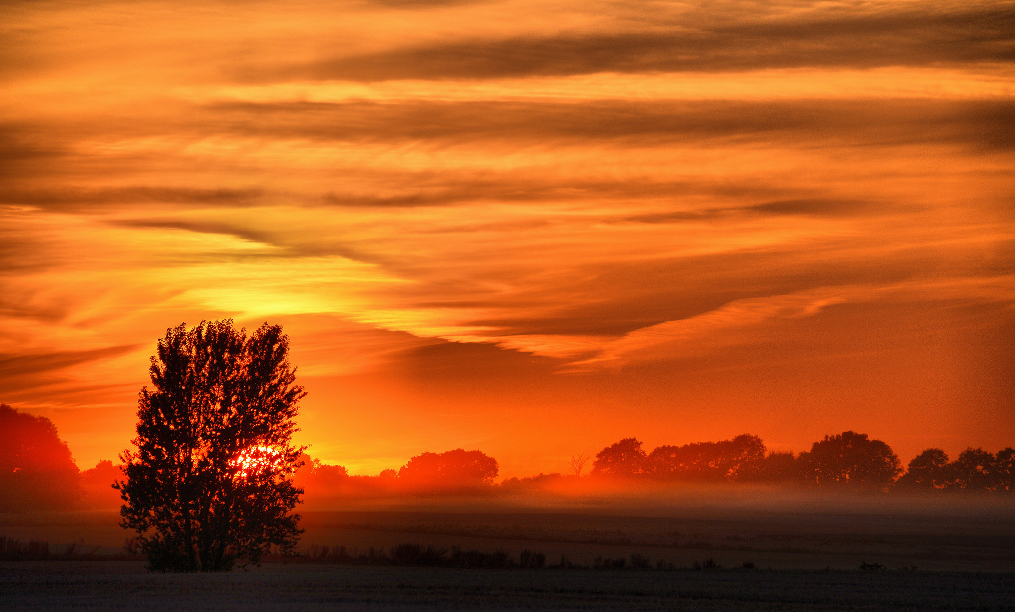 Laden Sie das Landschaft, Natur, Sonnenaufgang, Wolke, Erde/natur, Orange Farbe)-Bild kostenlos auf Ihren PC-Desktop herunter