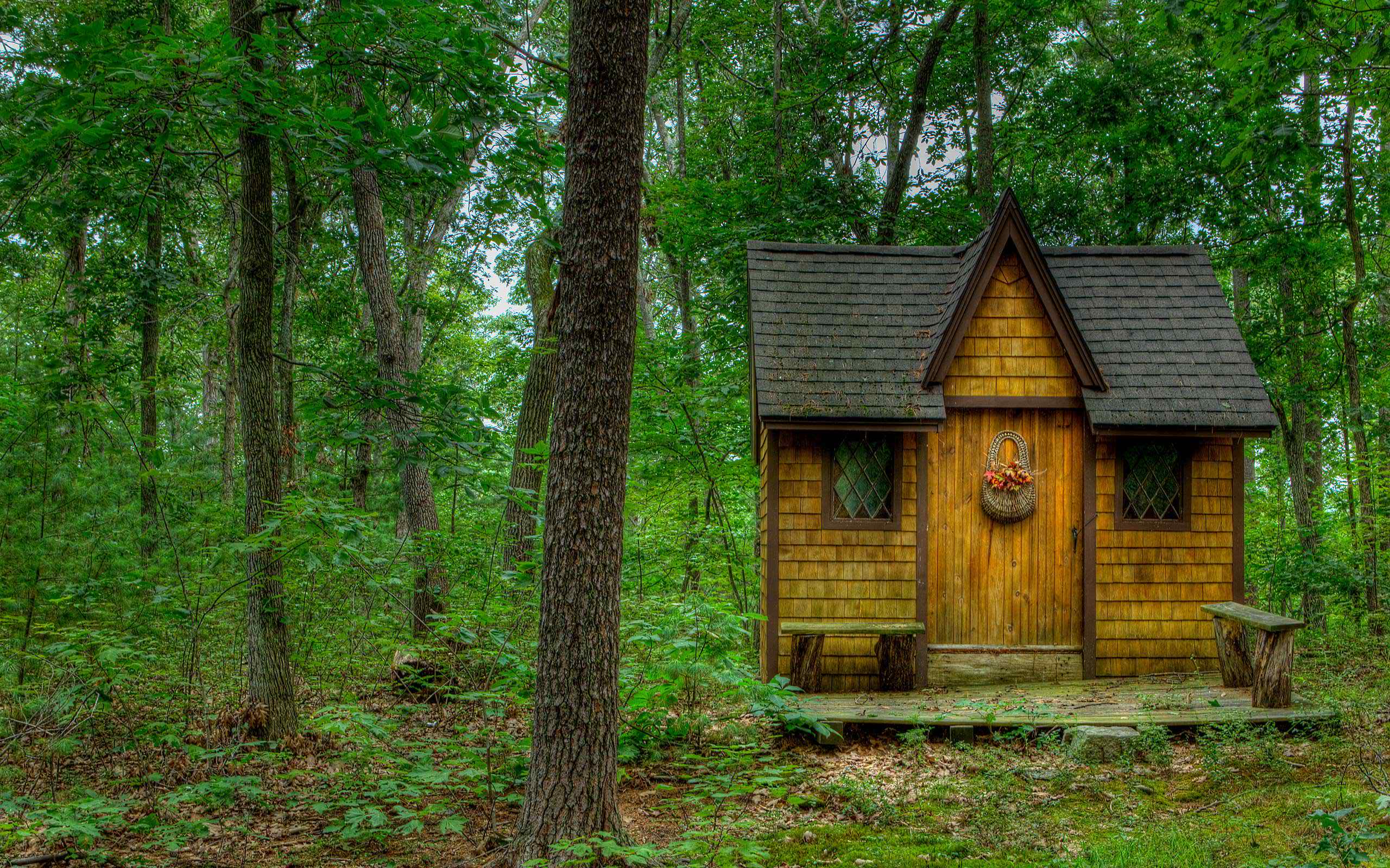 Download mobile wallpaper Forest, Tree, Cabin, Man Made for free.