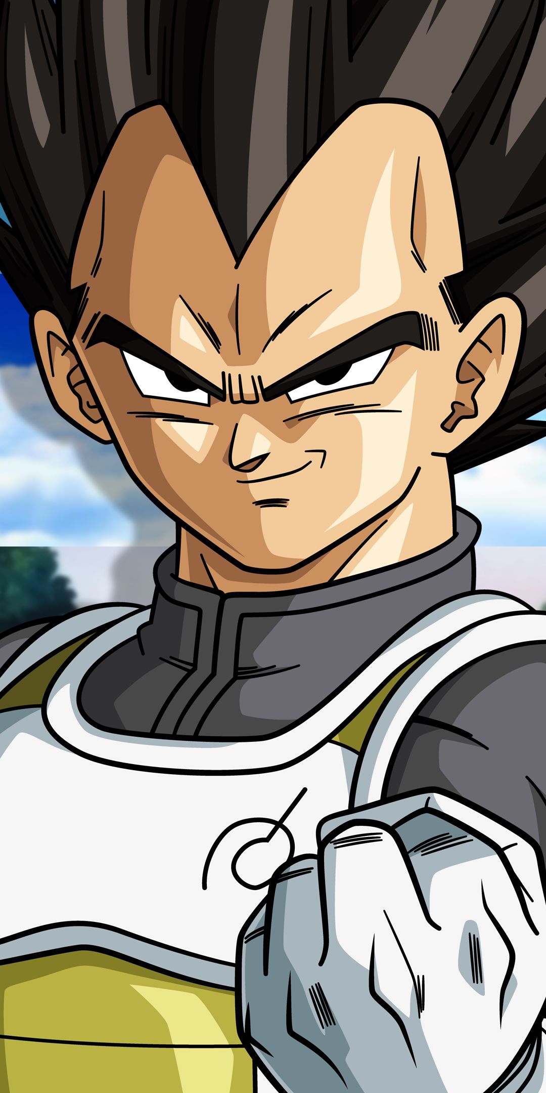 Baixar papel de parede para celular de Anime, Esfera Do Dragão, Vegeta (Dragon Ball), Dragon Ball Super gratuito.