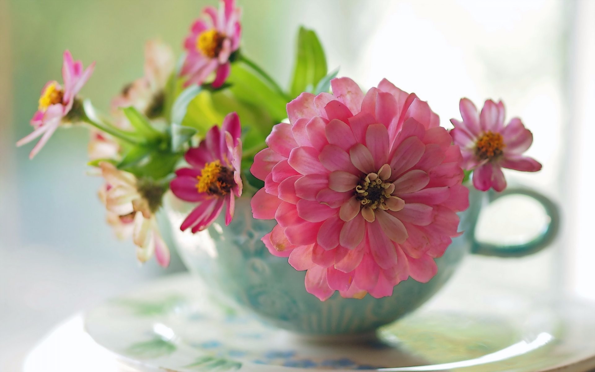 Free download wallpaper Still Life, Flower, Cup, Photography, Pink Flower on your PC desktop