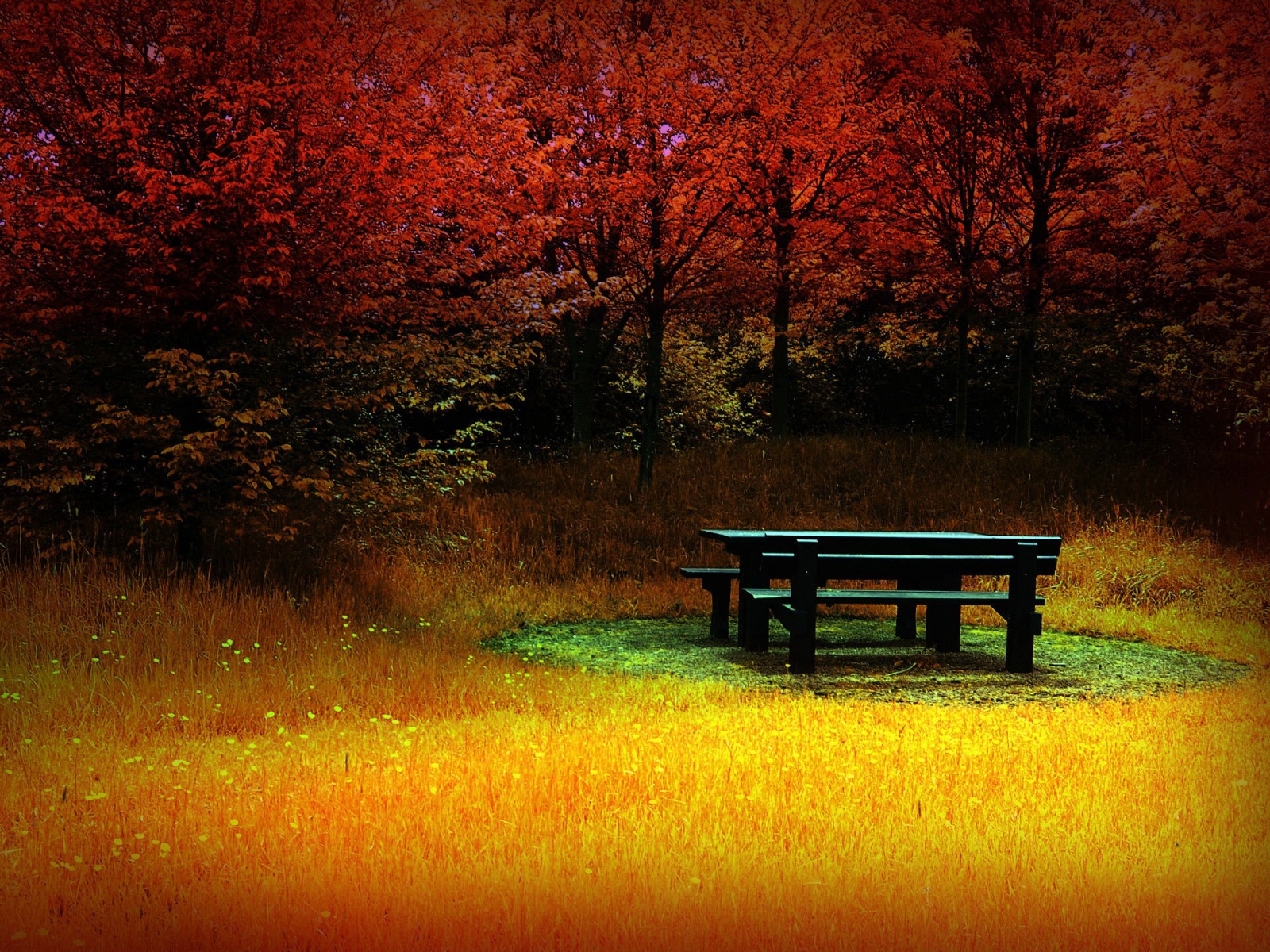 Download mobile wallpaper Trees, Autumn, Landscape, Art Photo for free.