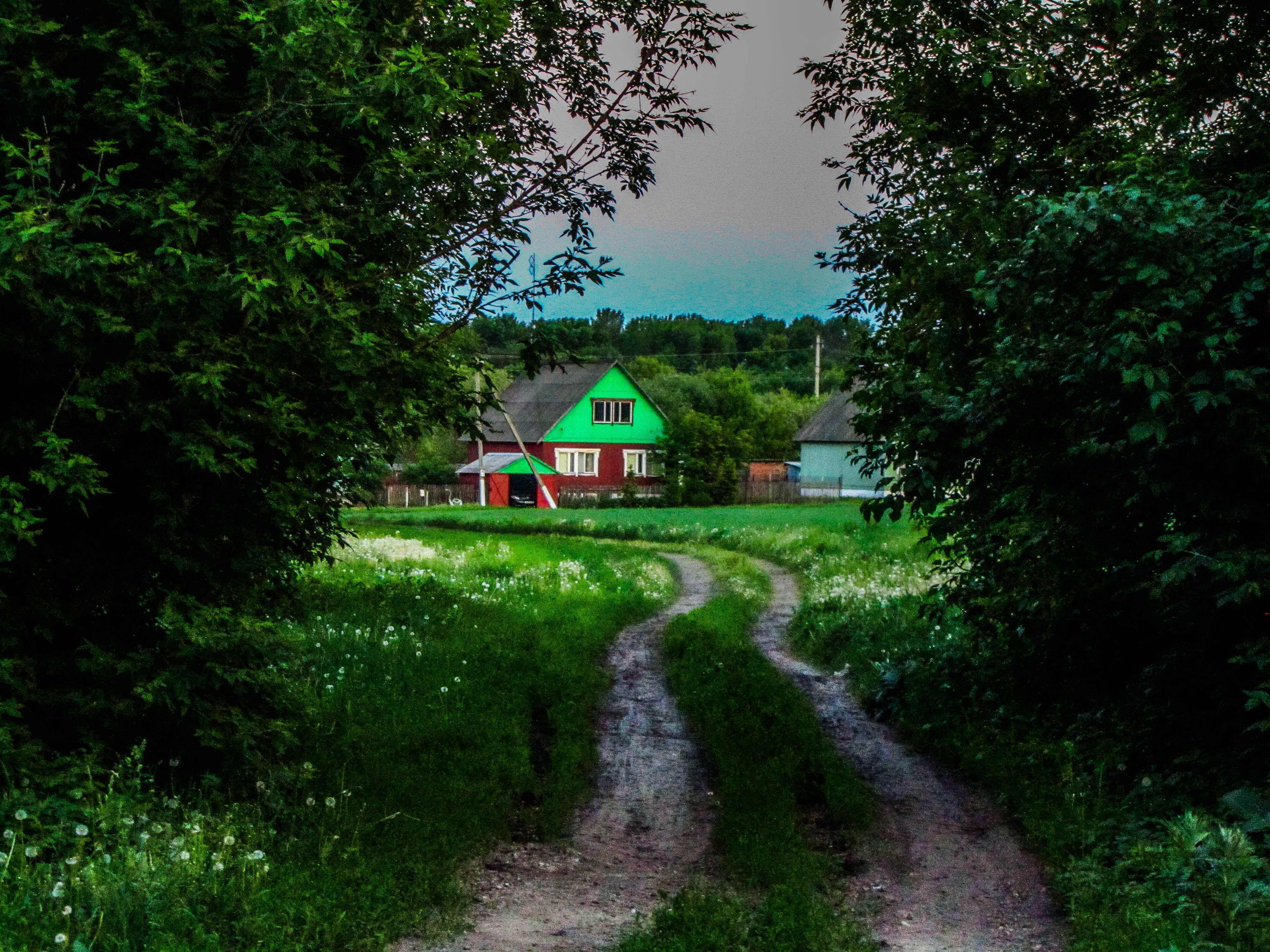 Handy-Wallpaper Straße, Baum, Haus, Menschengemacht kostenlos herunterladen.