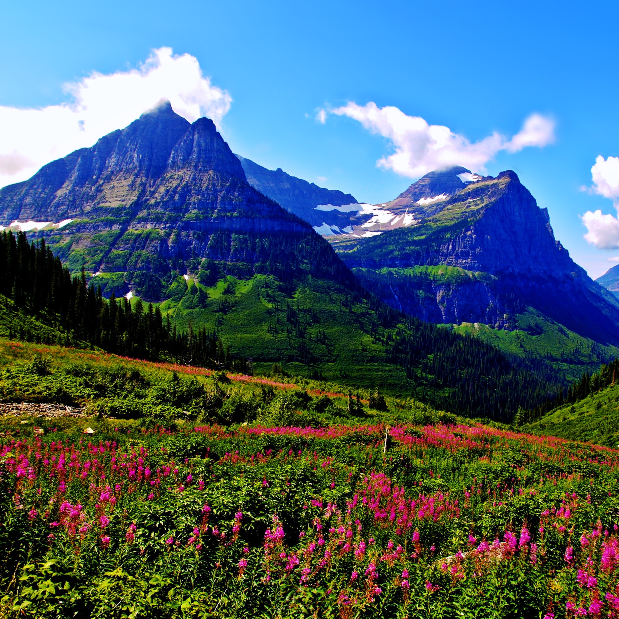 Free download wallpaper Landscape, Nature, Mountain, Flower, Earth, Spring on your PC desktop