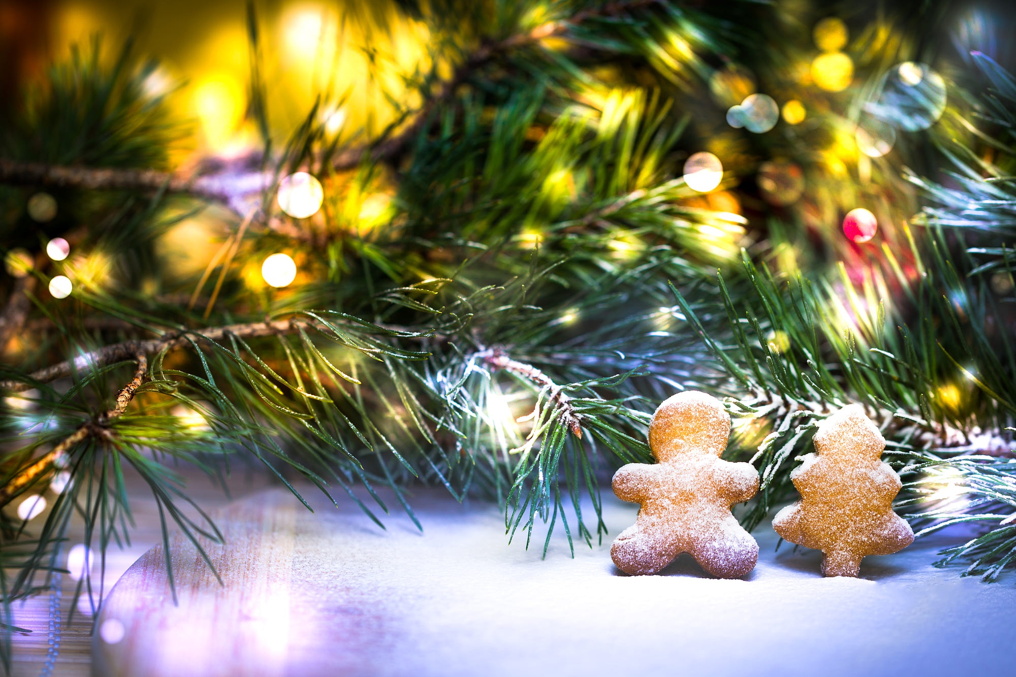 Téléchargez gratuitement l'image Noël, Vacances, Biscuit, Lumières De Noël sur le bureau de votre PC